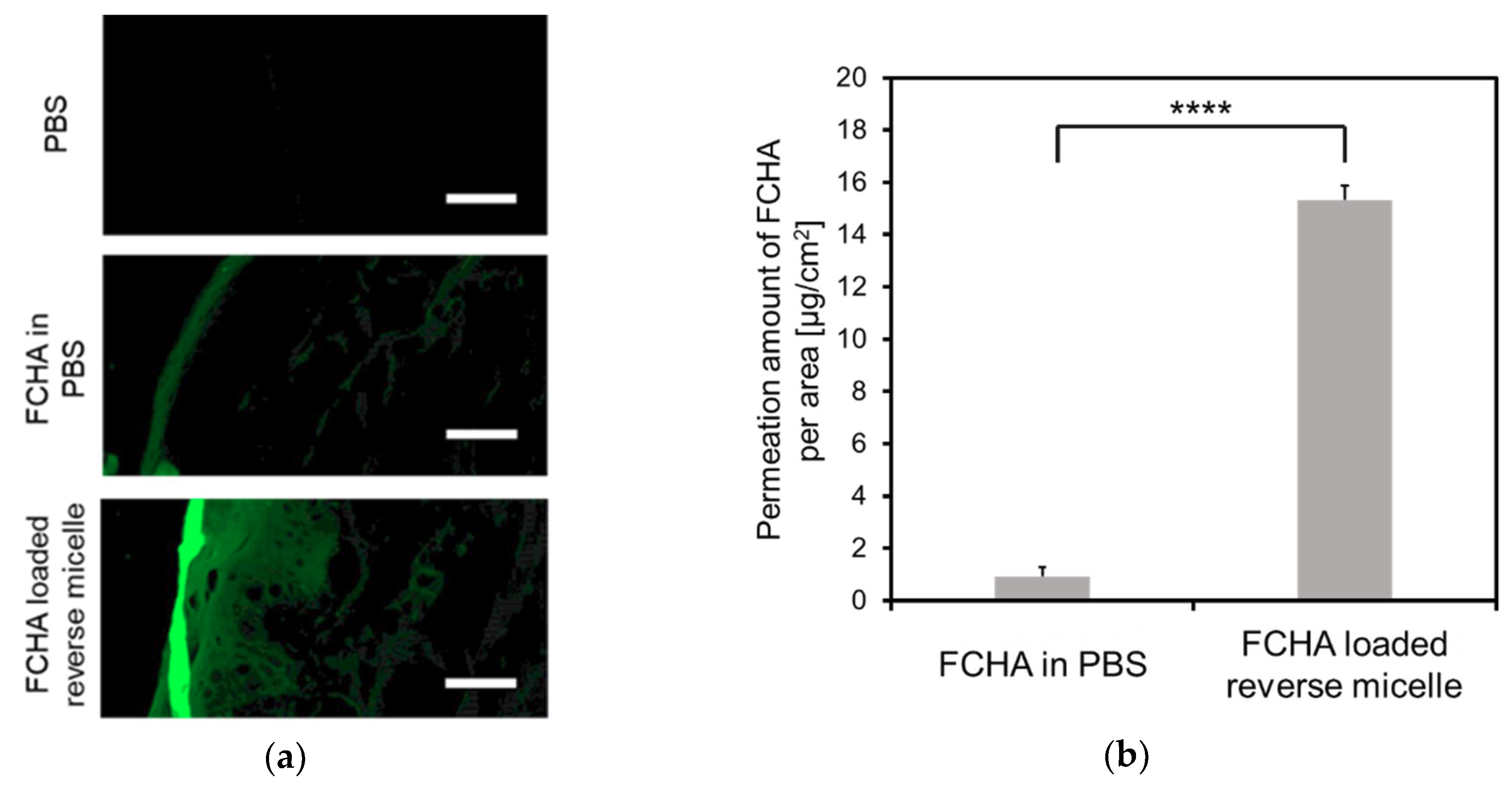 Cosmetics 07 00052 g003