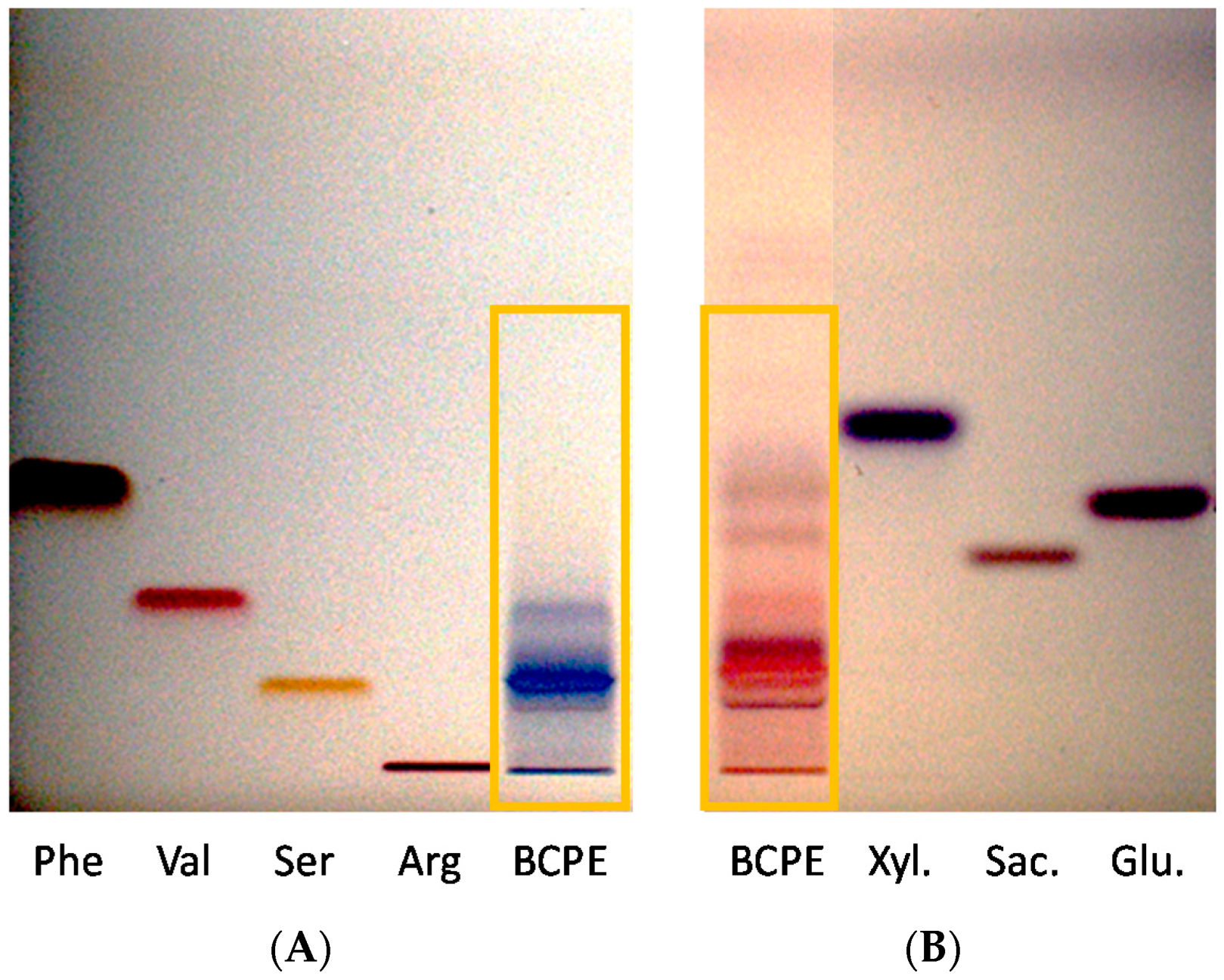Cosmetics 07 00056 g003