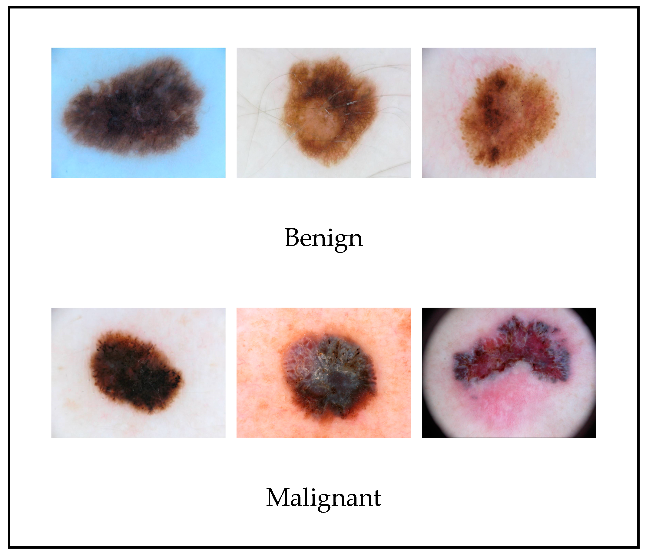 Cosmetics 07 00067 g003