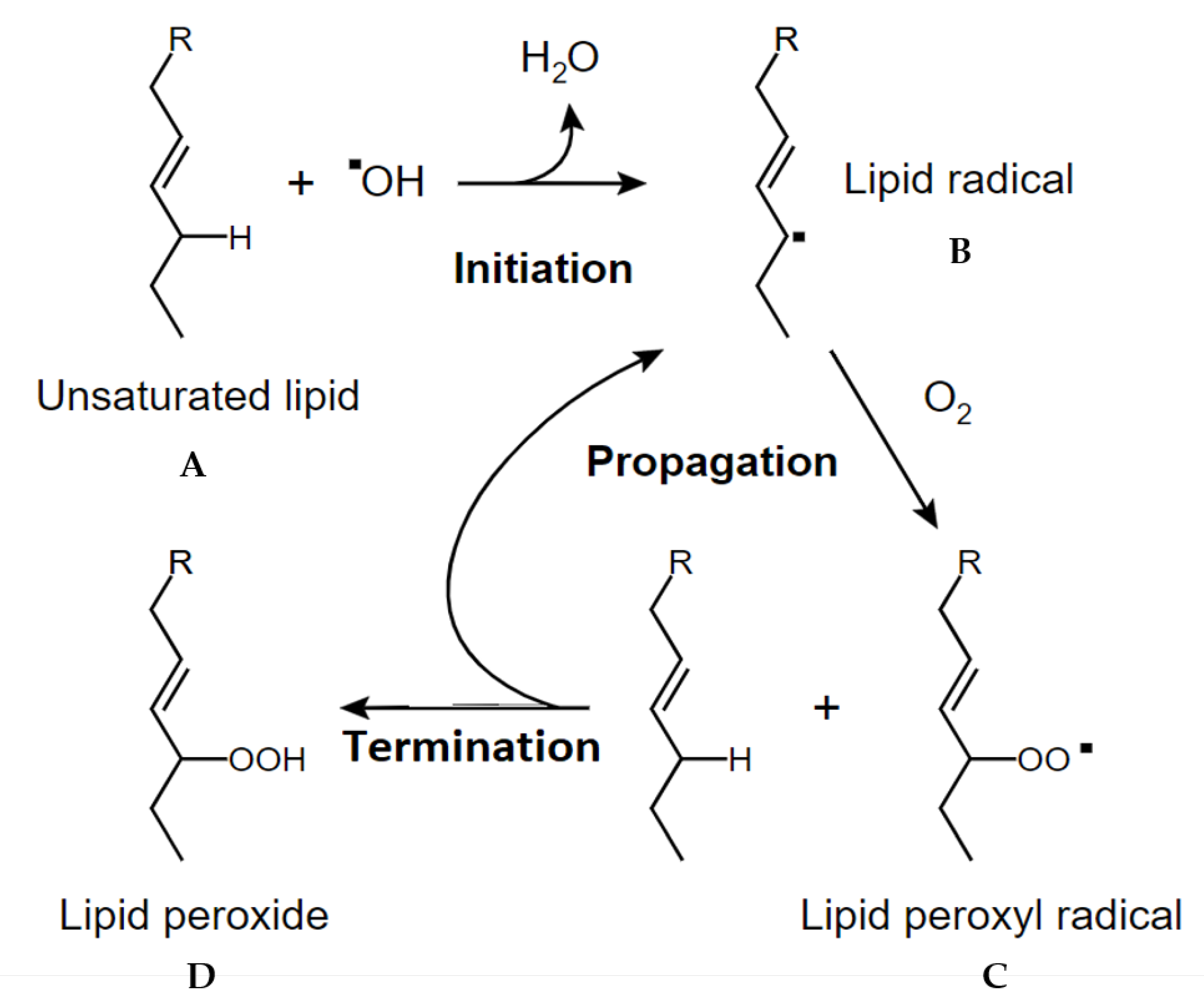 Cosmetics 07 00077 g006