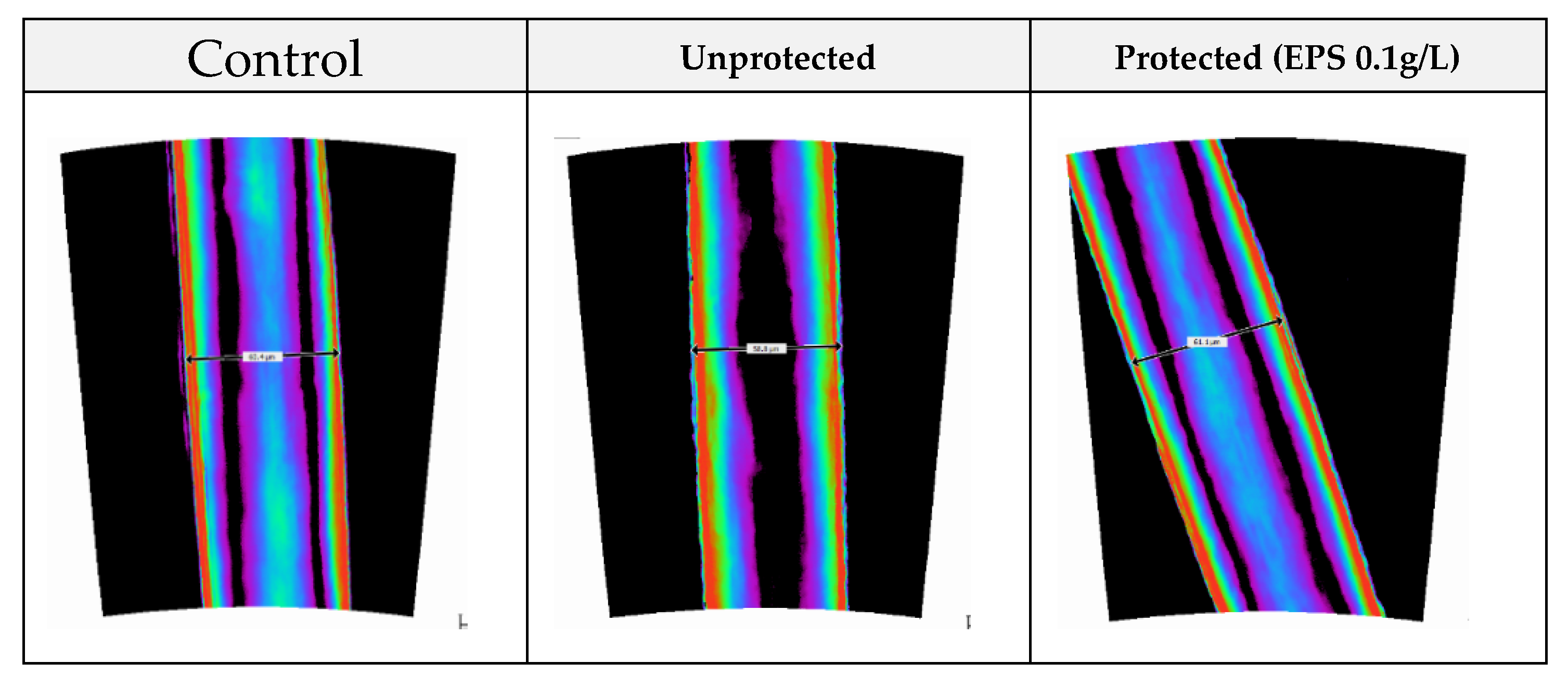 Cosmetics 07 00078 g003a