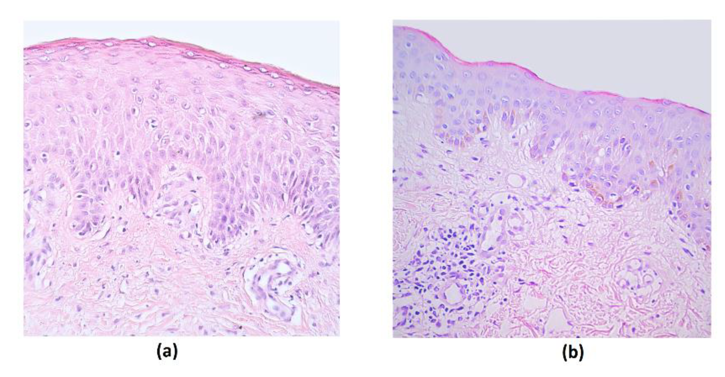 Cosmetics 07 00082 g001