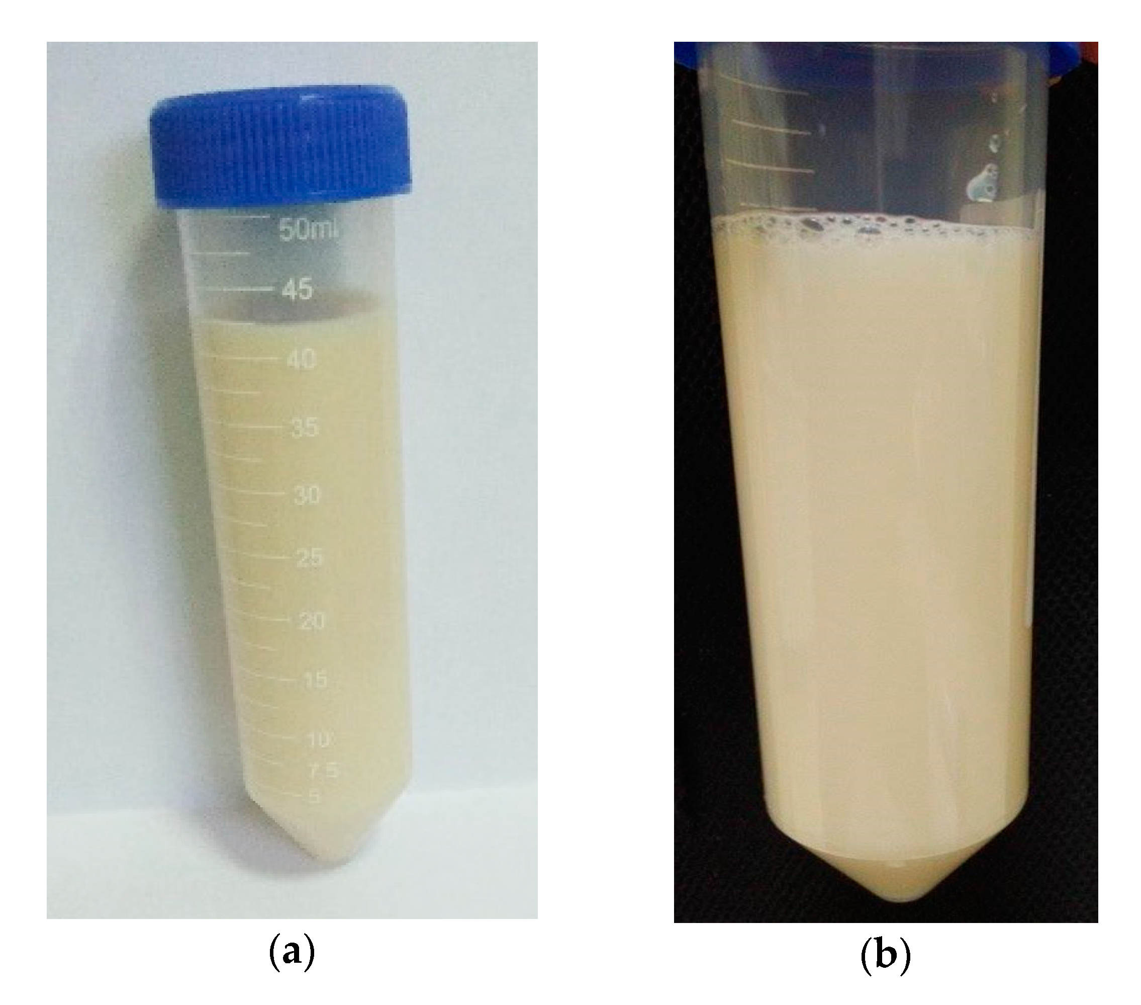 Cosmetics 07 00083 g001