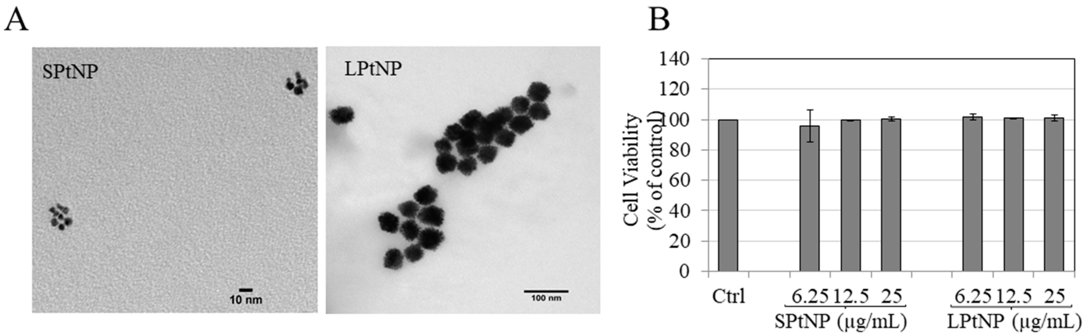 Cosmetics 07 00088 g001