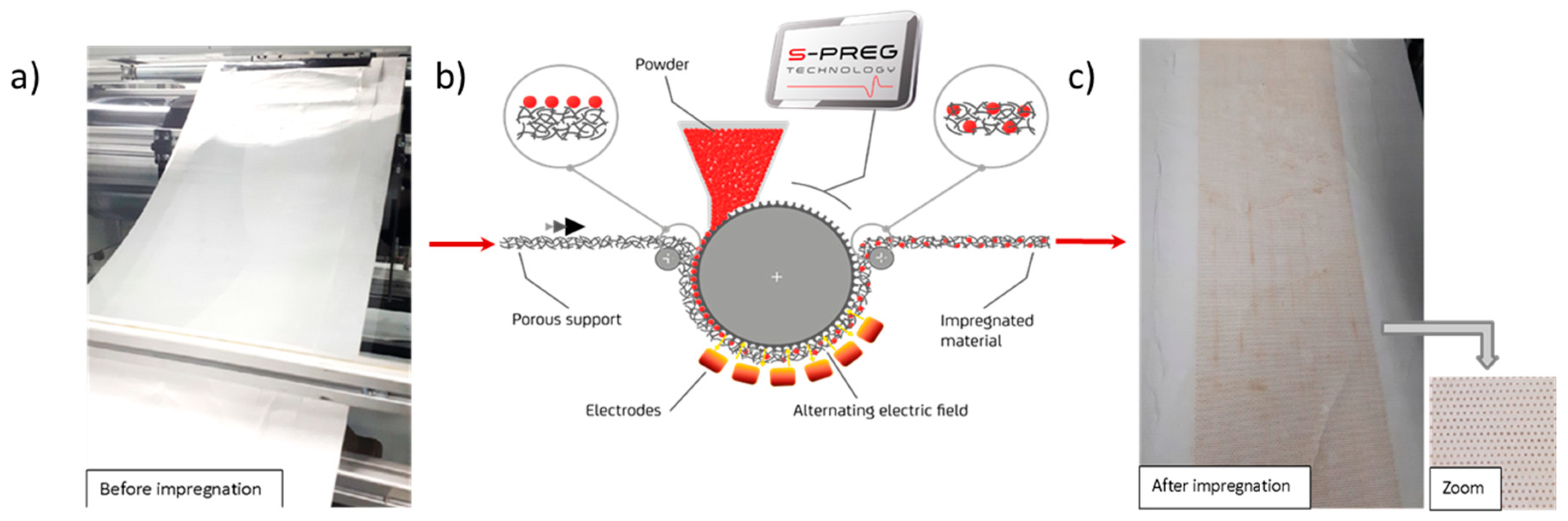 Cosmetics 07 00096 g002