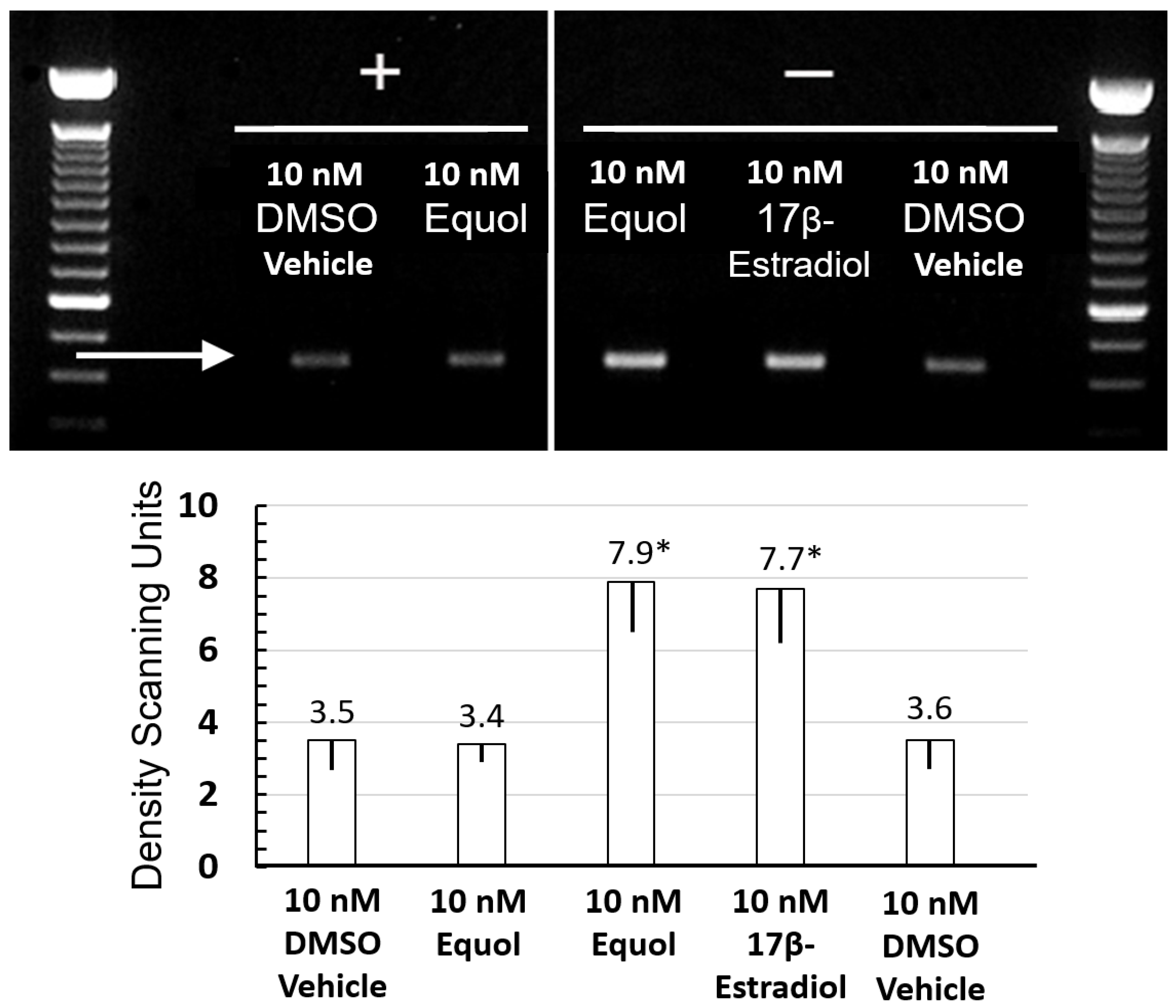 Cosmetics 08 00005 g004