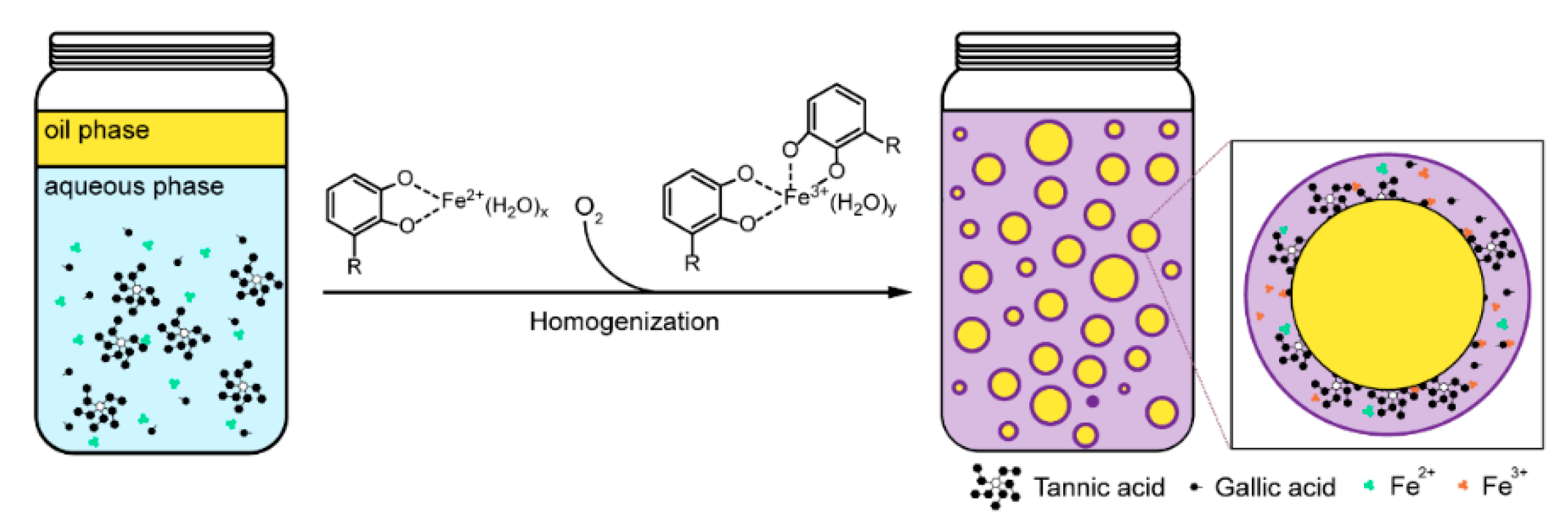 Cosmetics 08 00009 g001