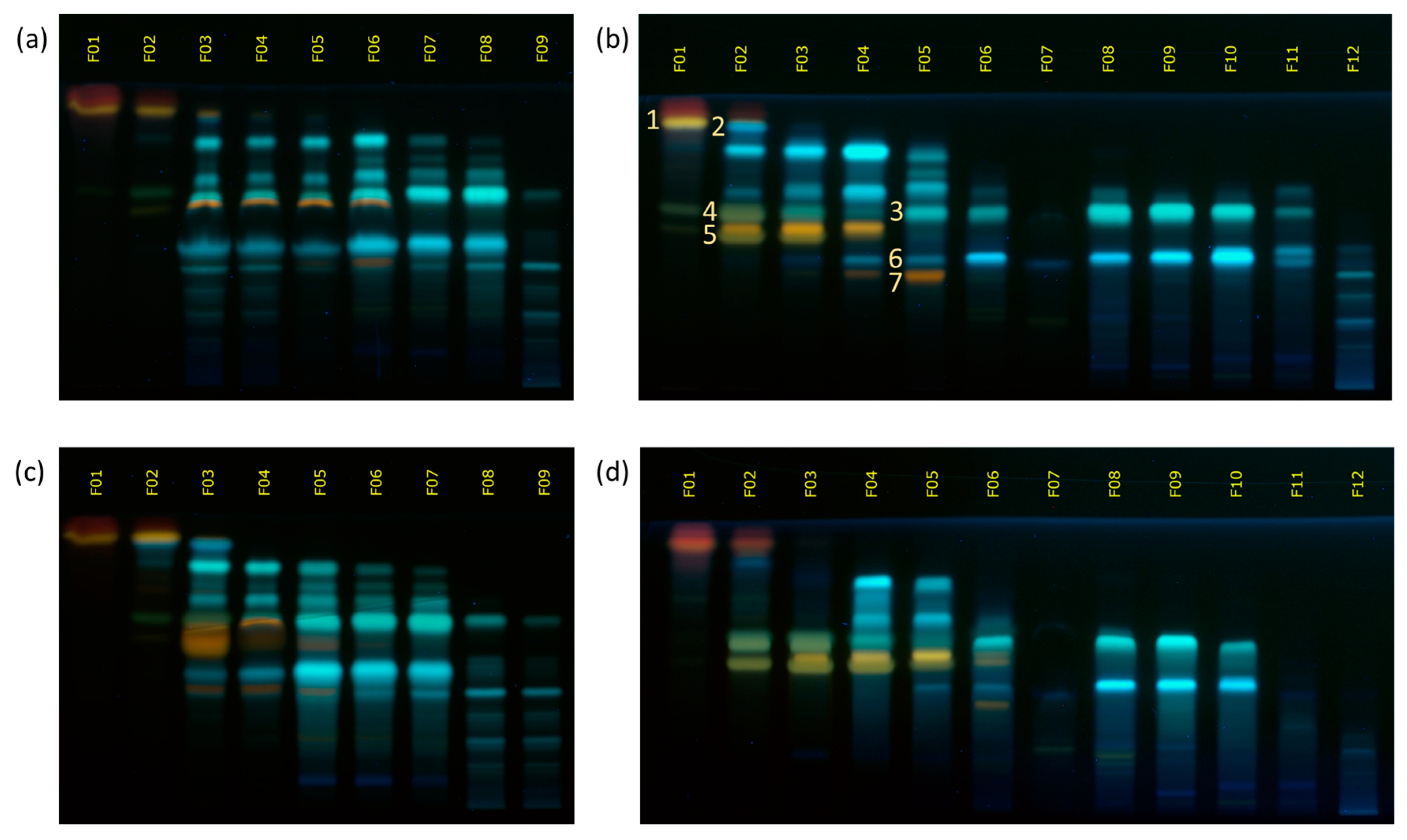 Cosmetics 08 00010 g004