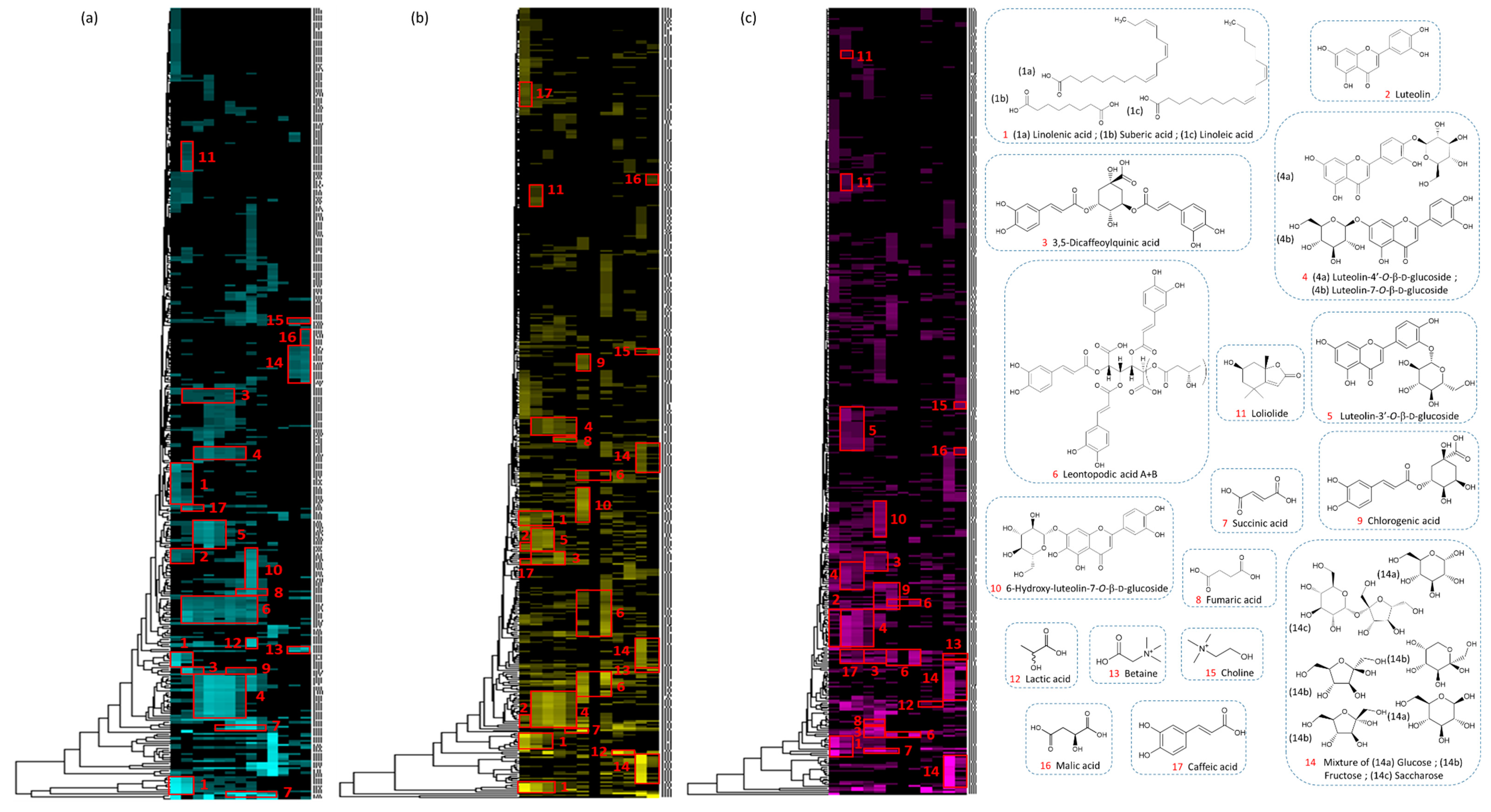 Cosmetics 08 00010 g006