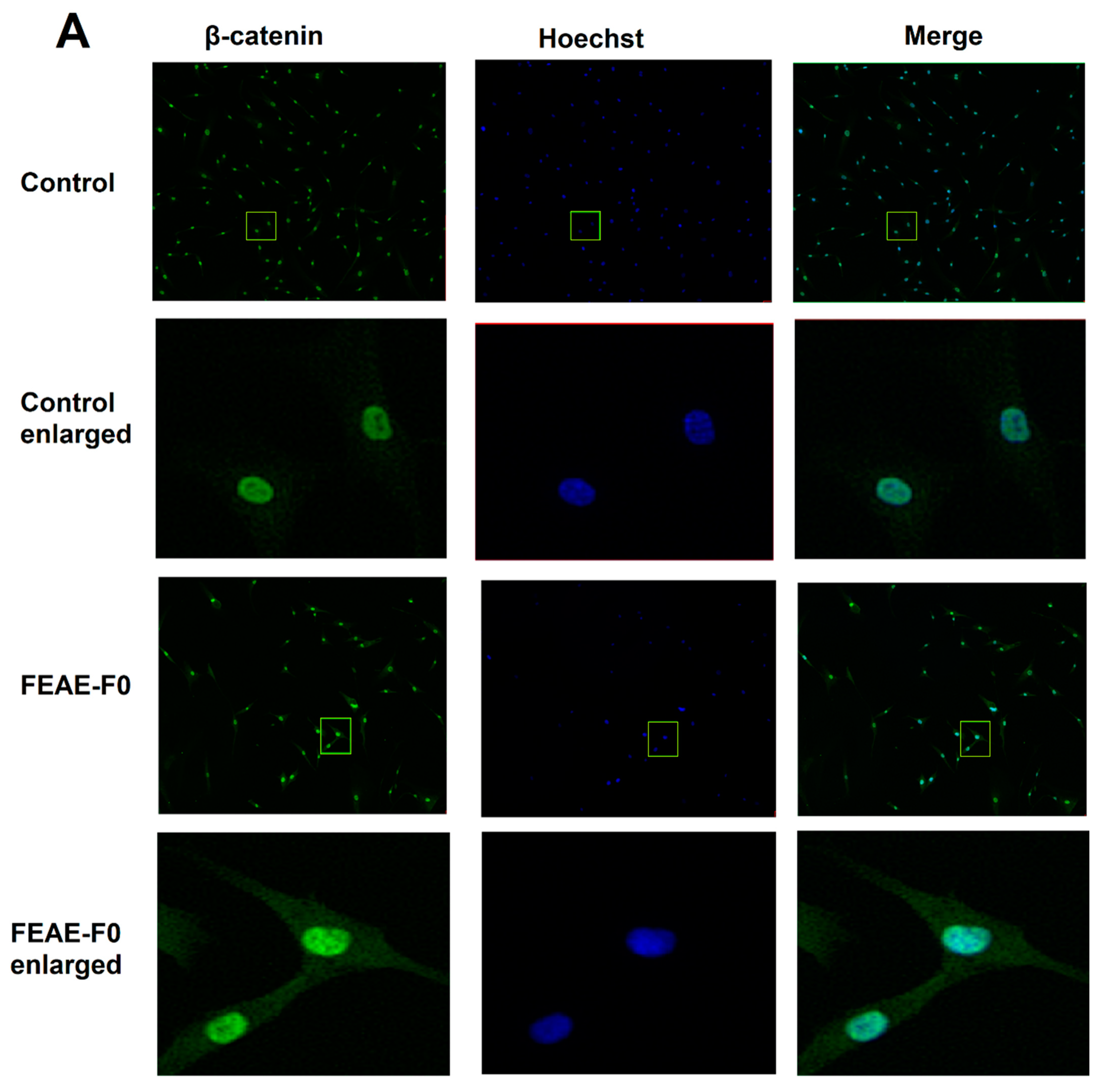 Cosmetics 08 00013 g003a