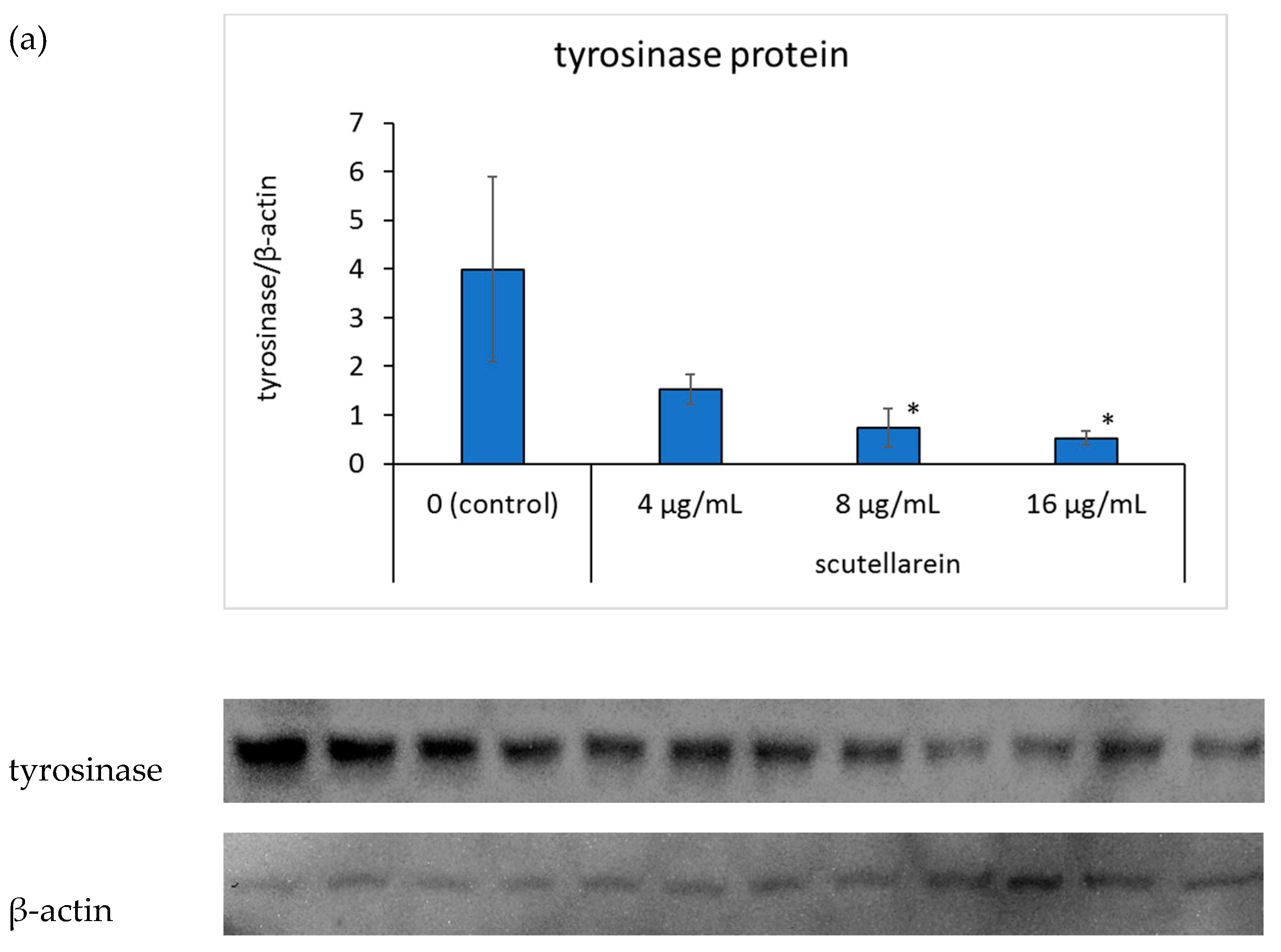 Cosmetics 08 00015 g006a