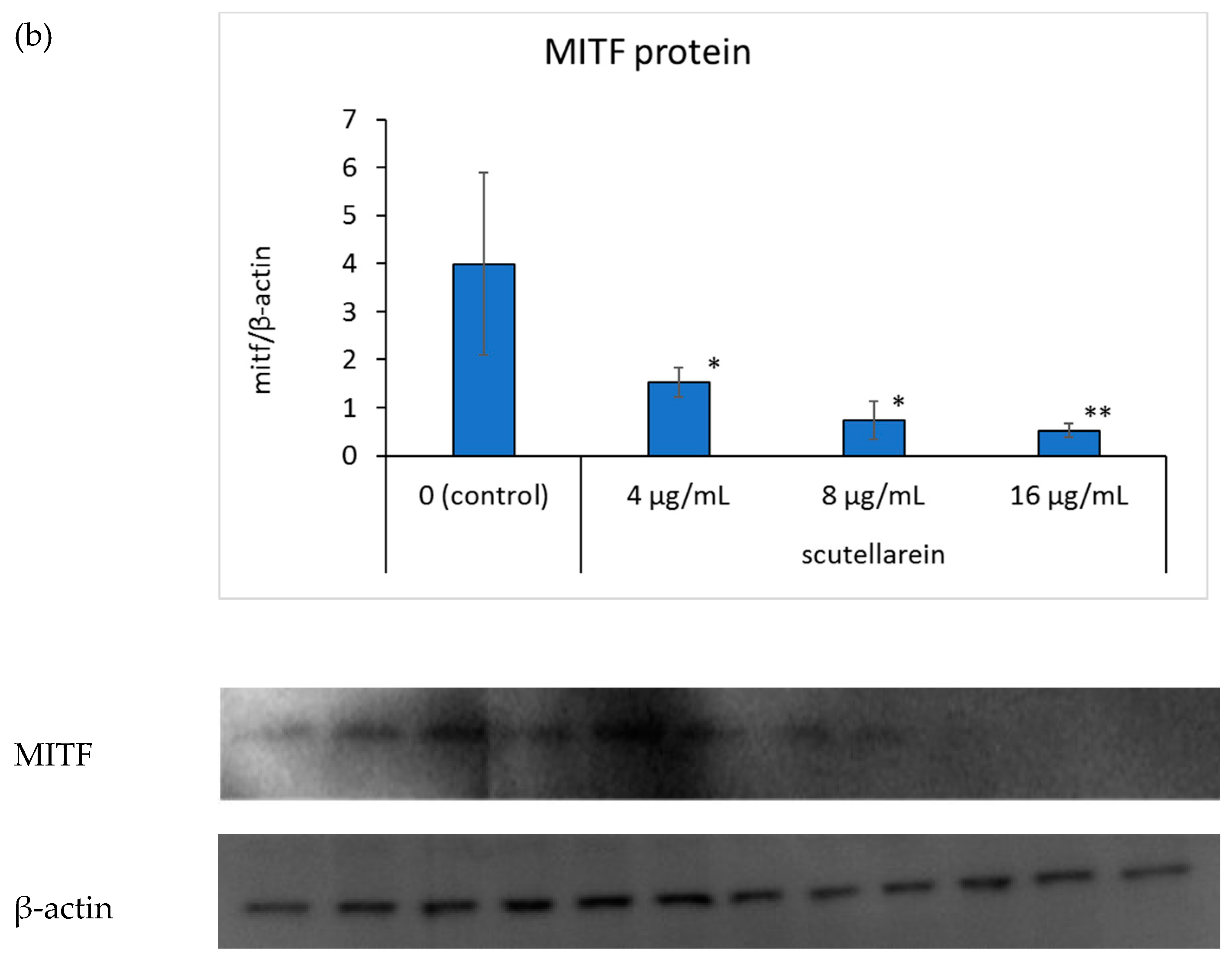 Cosmetics 08 00015 g006b