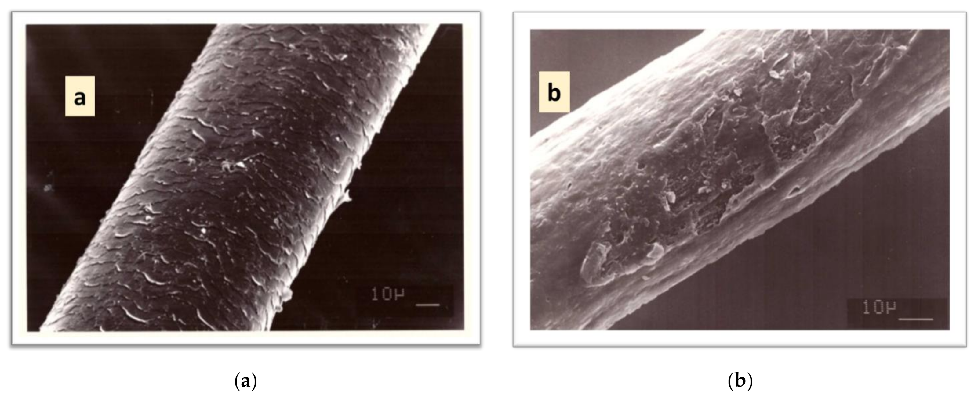 Cosmetics 08 00020 g001