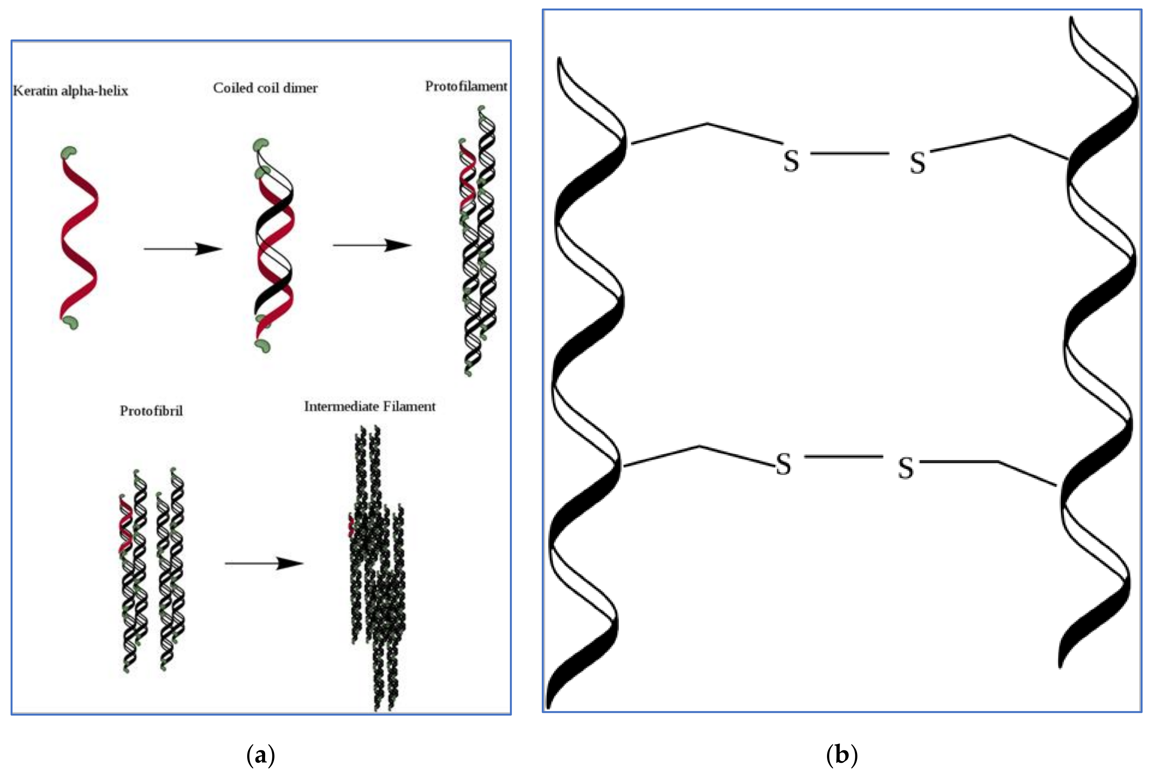 Cosmetics 08 00020 g004