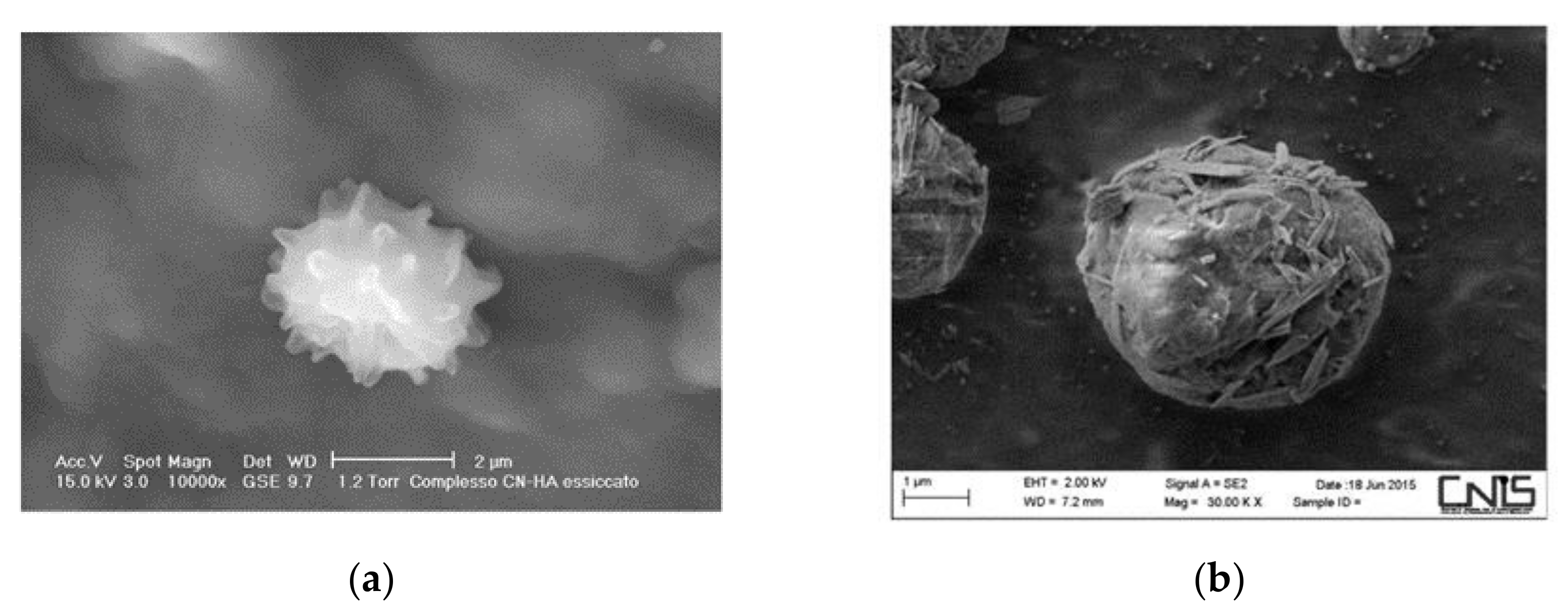 Cosmetics 08 00020 g006