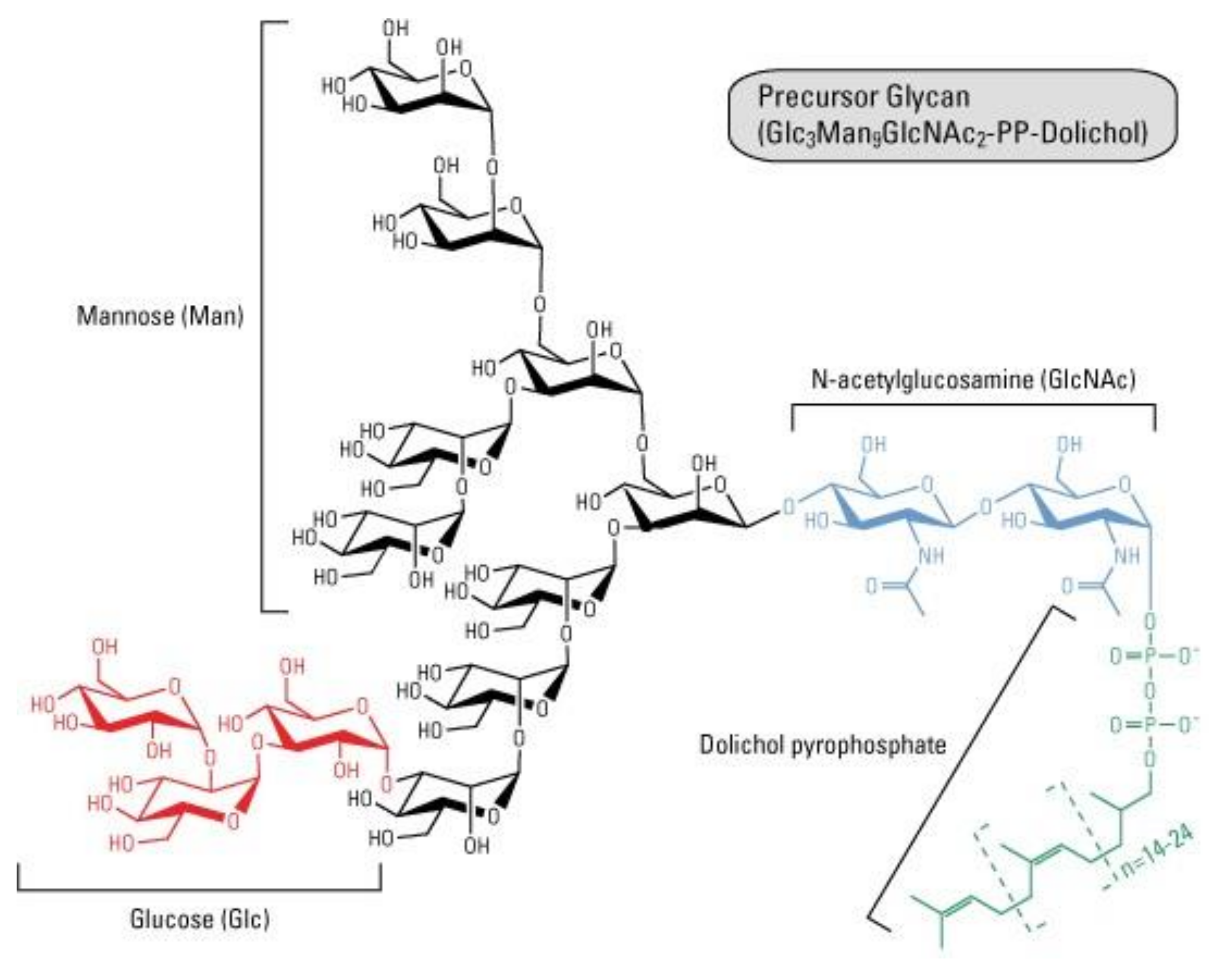 Cosmetics 08 00020 g009