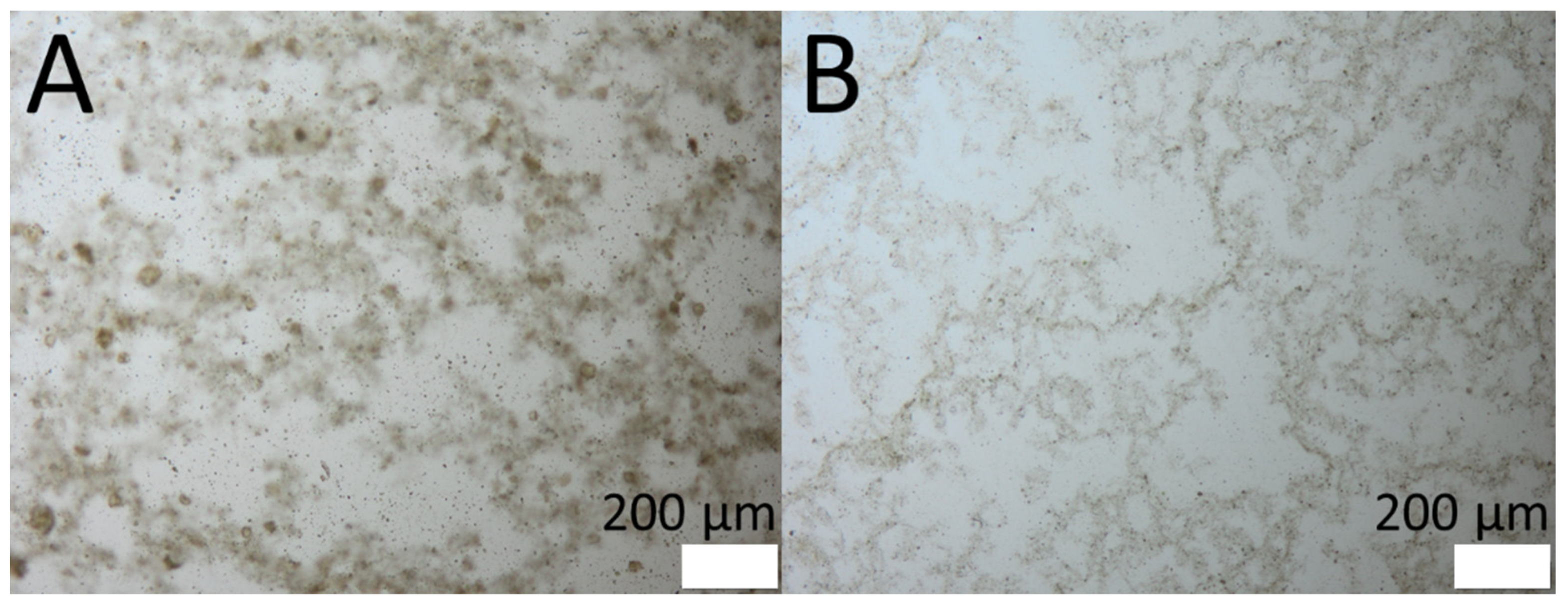 Cosmetics 08 00021 g003