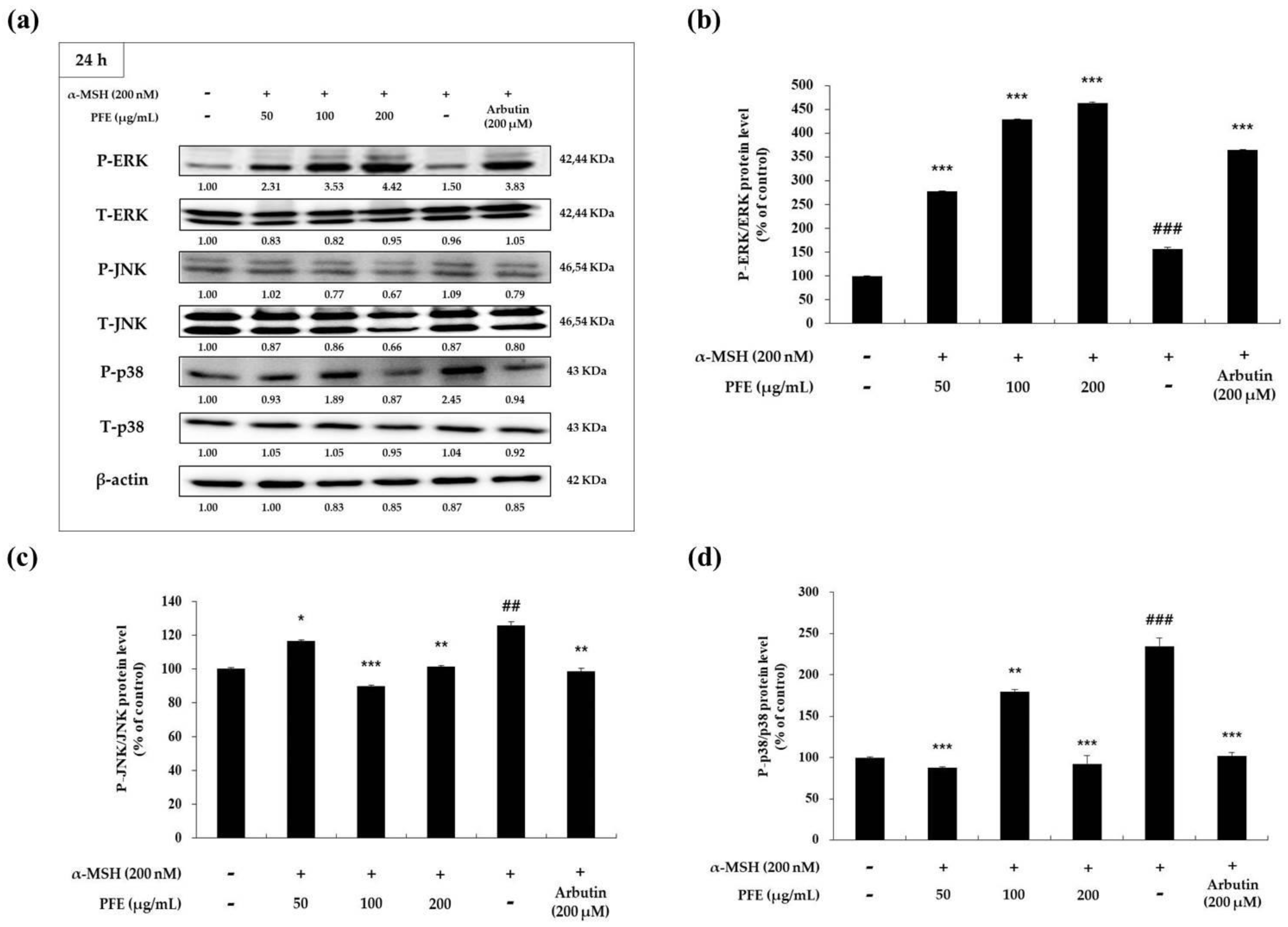 Cosmetics 08 00022 g005