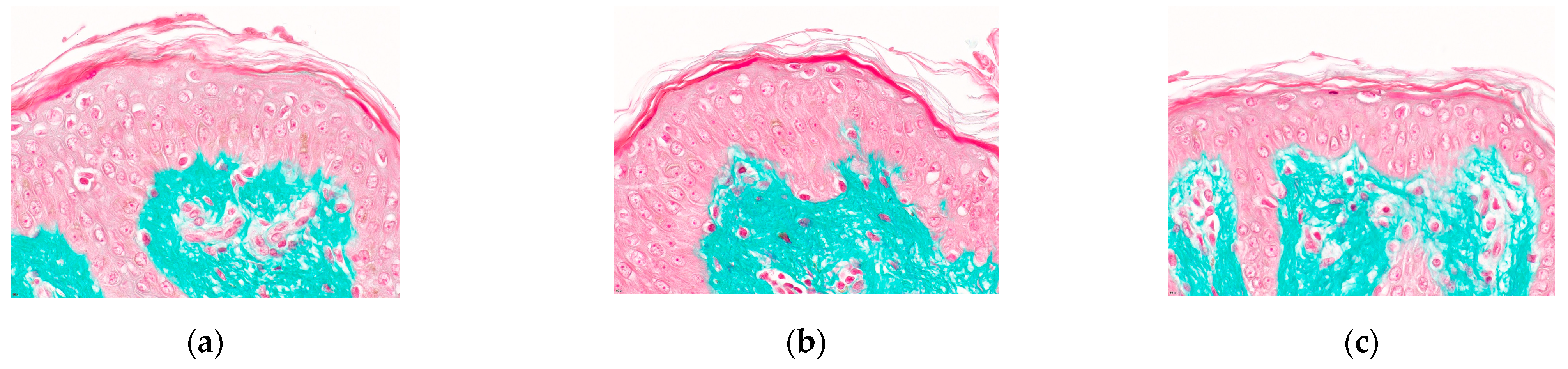 Cosmetics 08 00023 g004