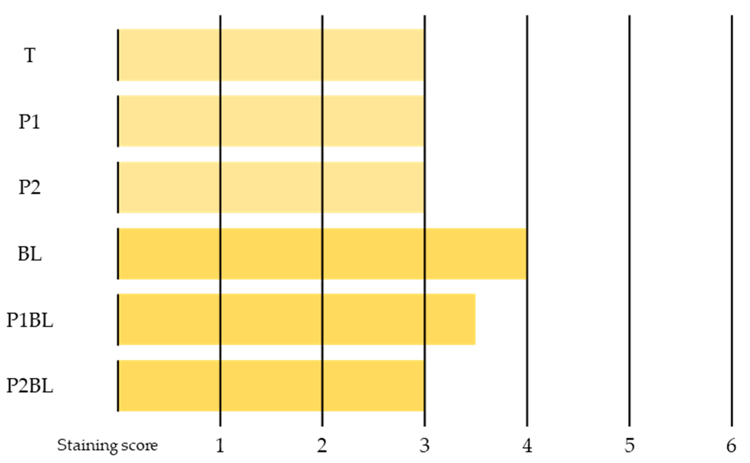 Cosmetics 08 00023 g005