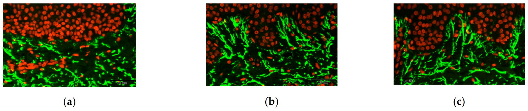 Cosmetics 08 00023 g008