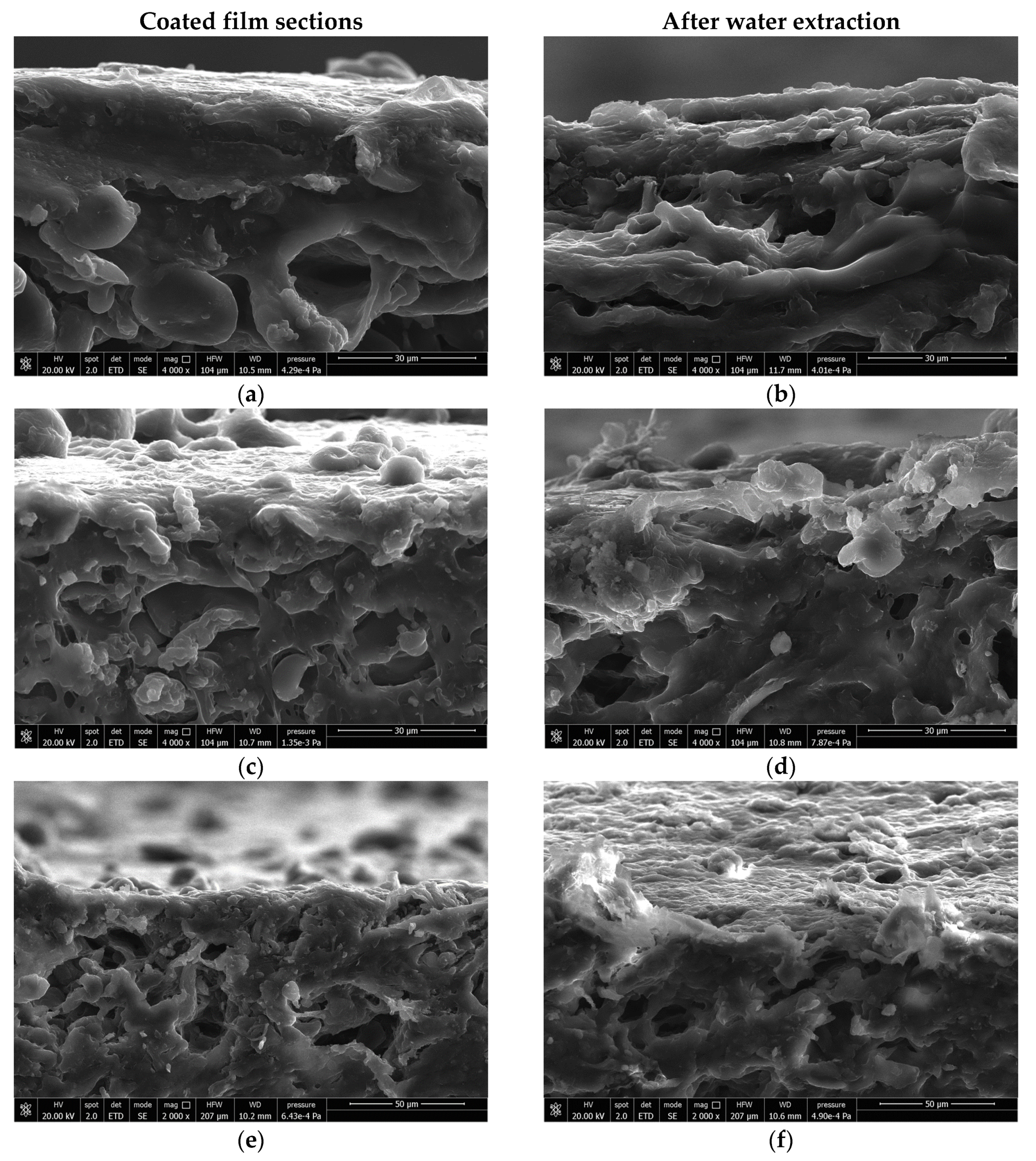 Cosmetics 08 00027 g007