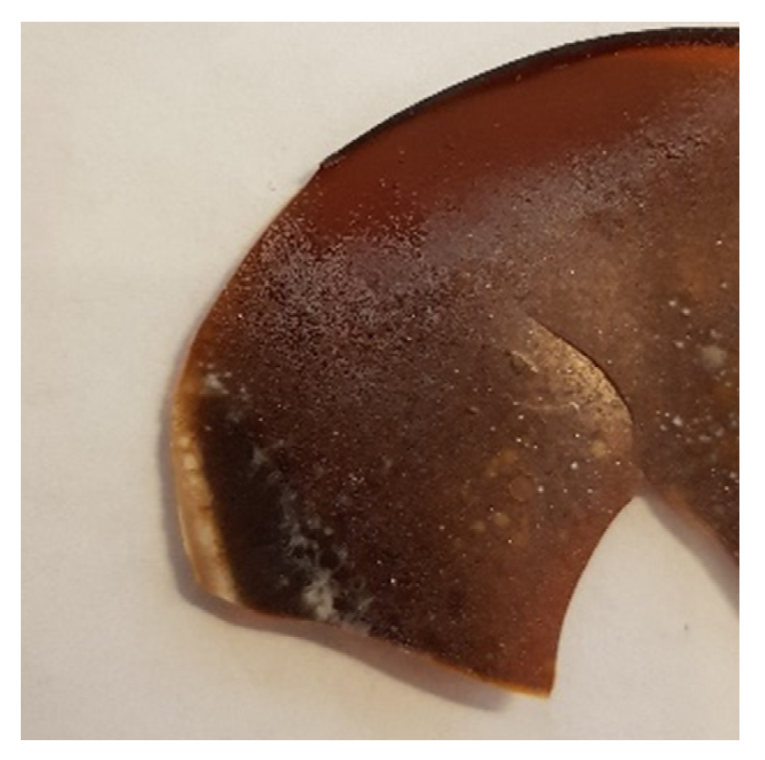 Cosmetics 08 00027 g008