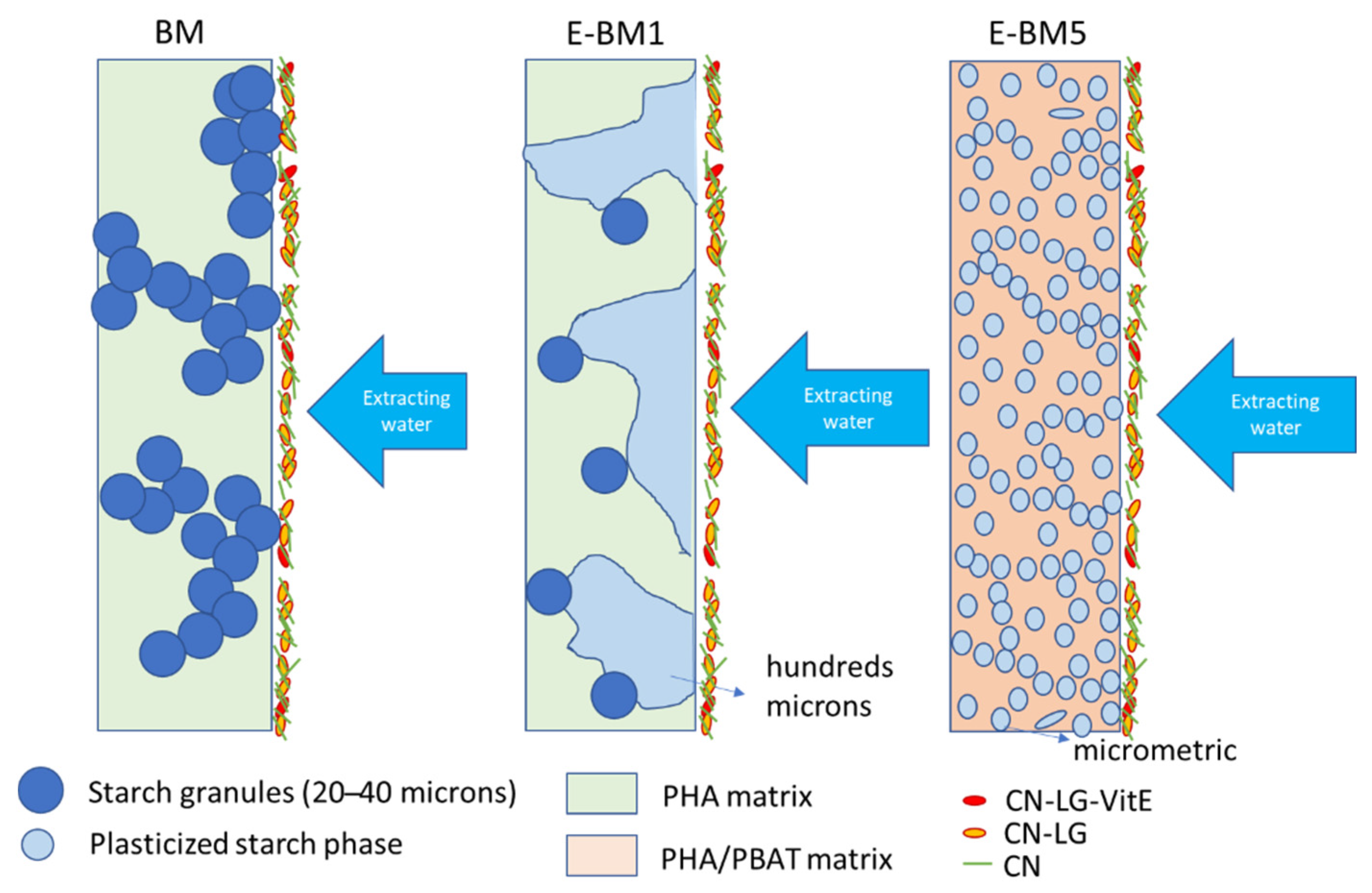 Cosmetics 08 00027 g009