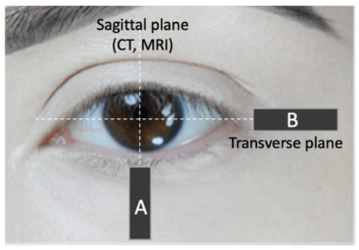 Cosmetics 08 00029 g001