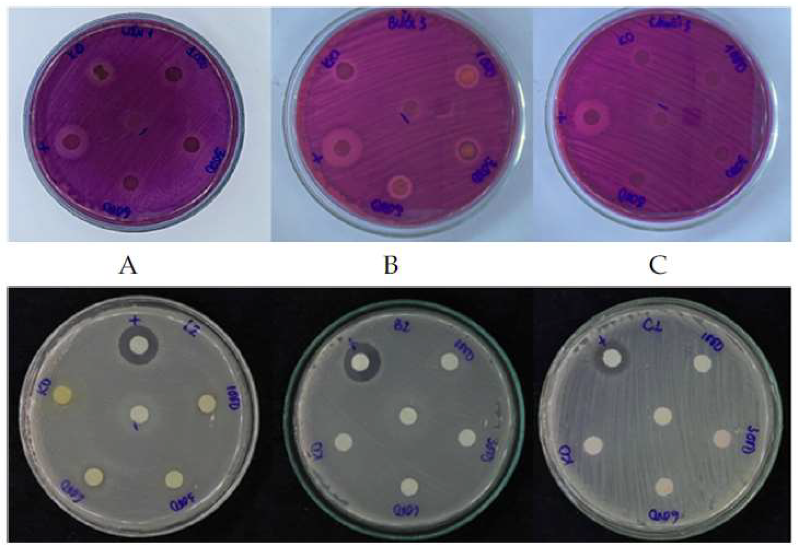 Cosmetics 08 00033 g001 Cosmetics 08 00033 g001