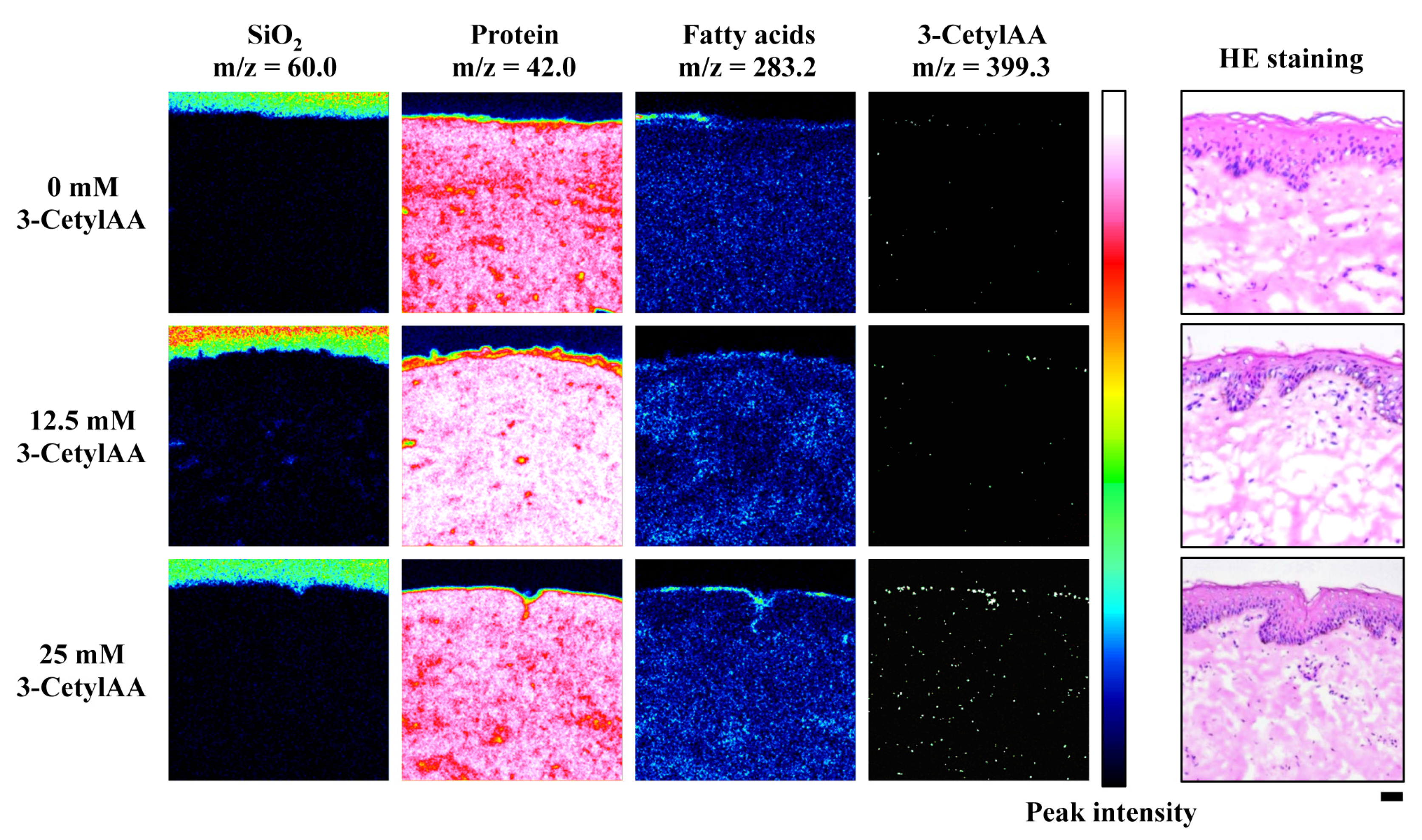 Cosmetics 08 00038 g002