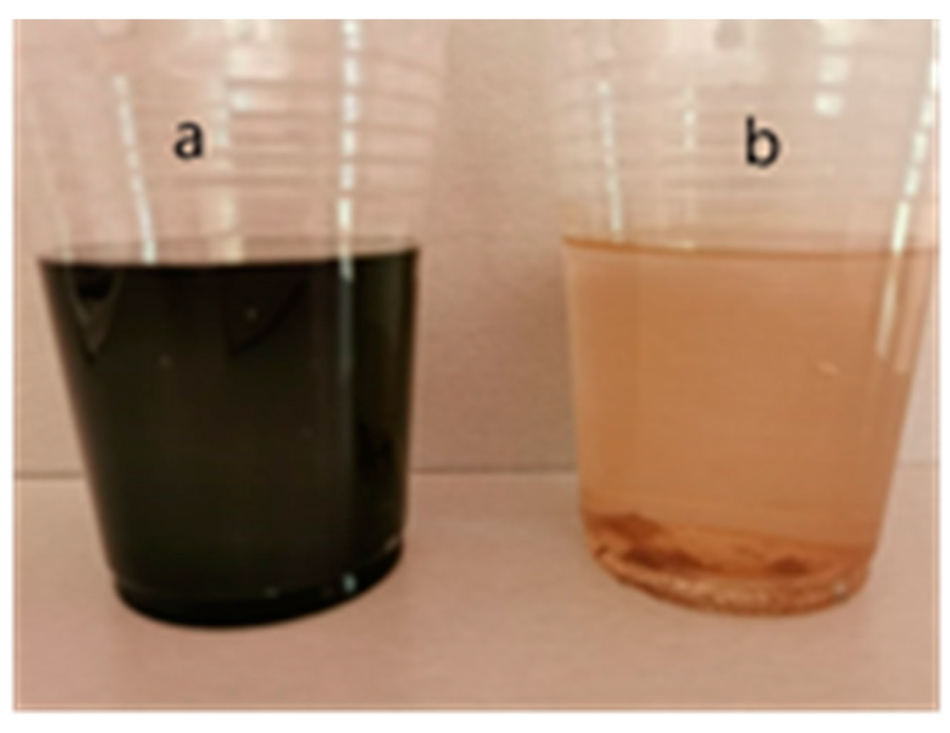 Cosmetics 08 00047 g001