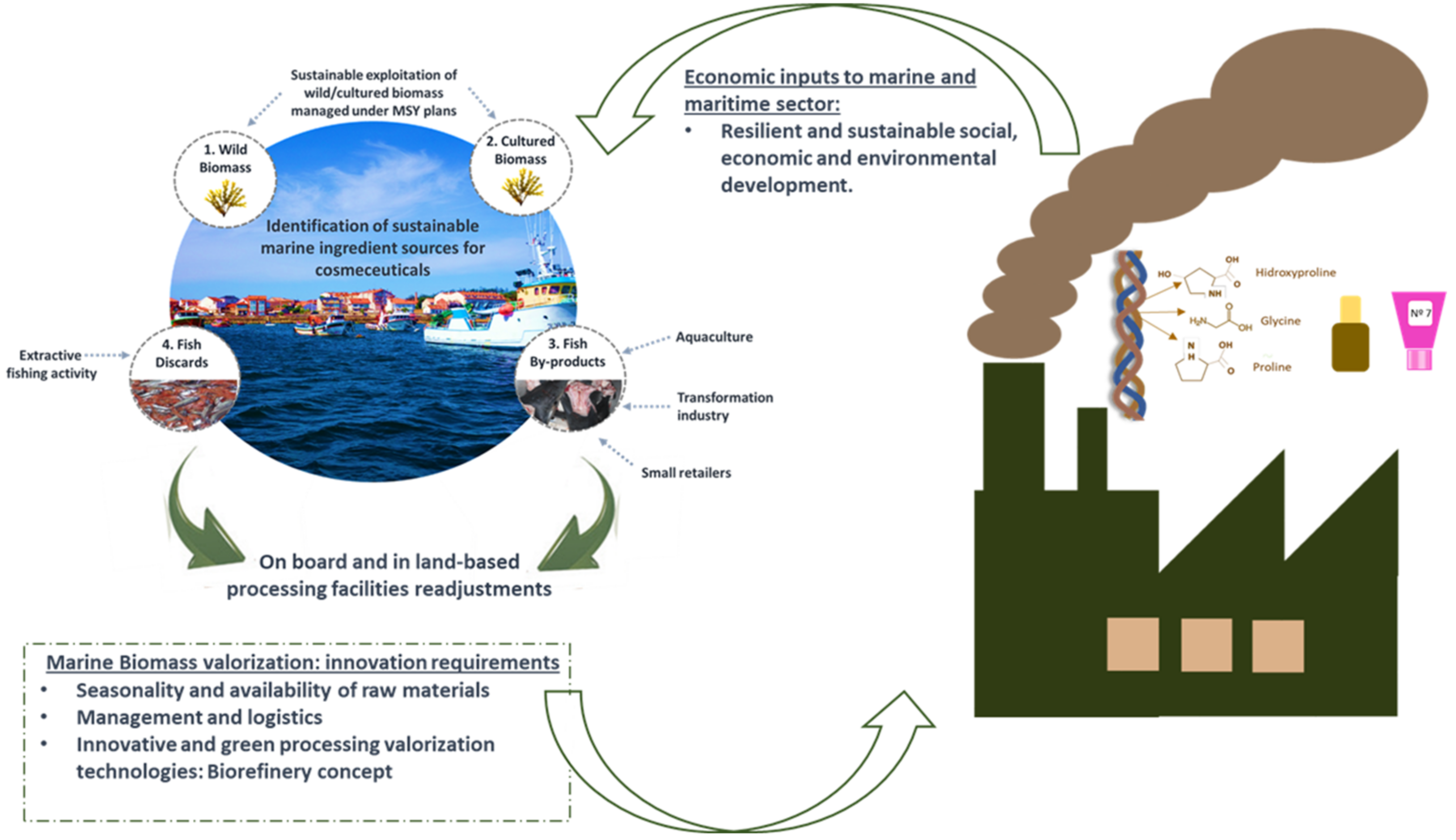 Cosmetics 08 00048 g002