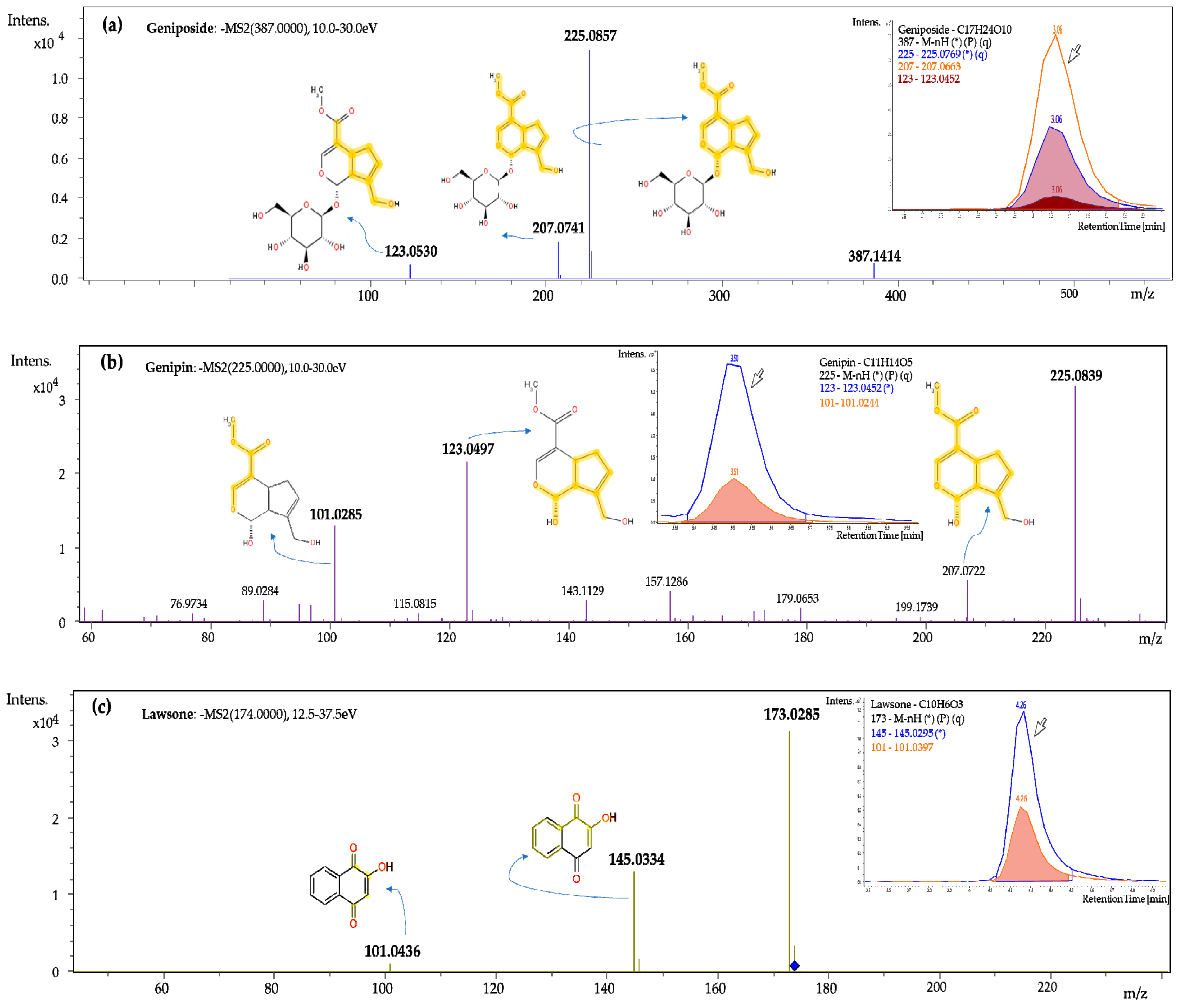 Cosmetics 08 00055 g001