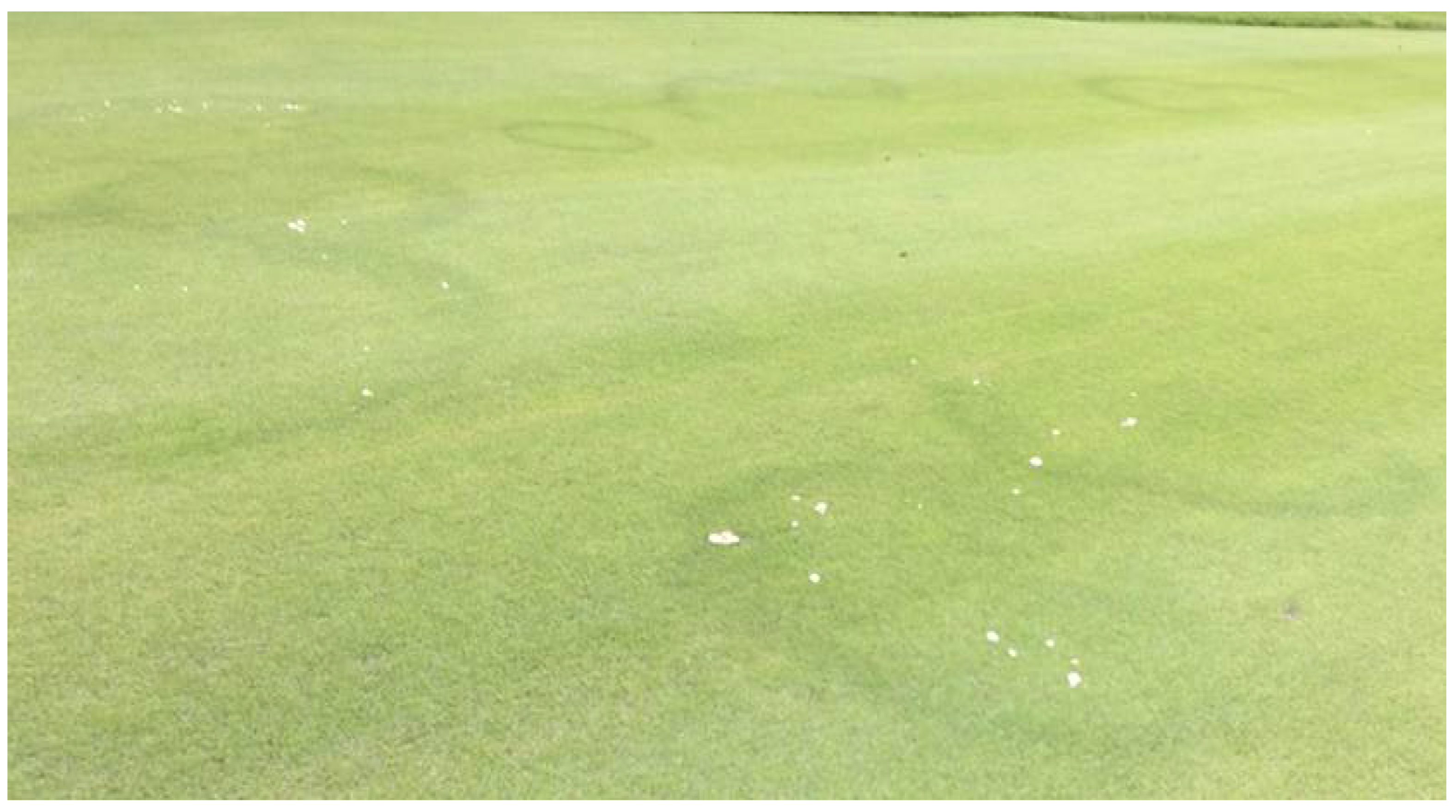 Cosmetics 08 00060 g001