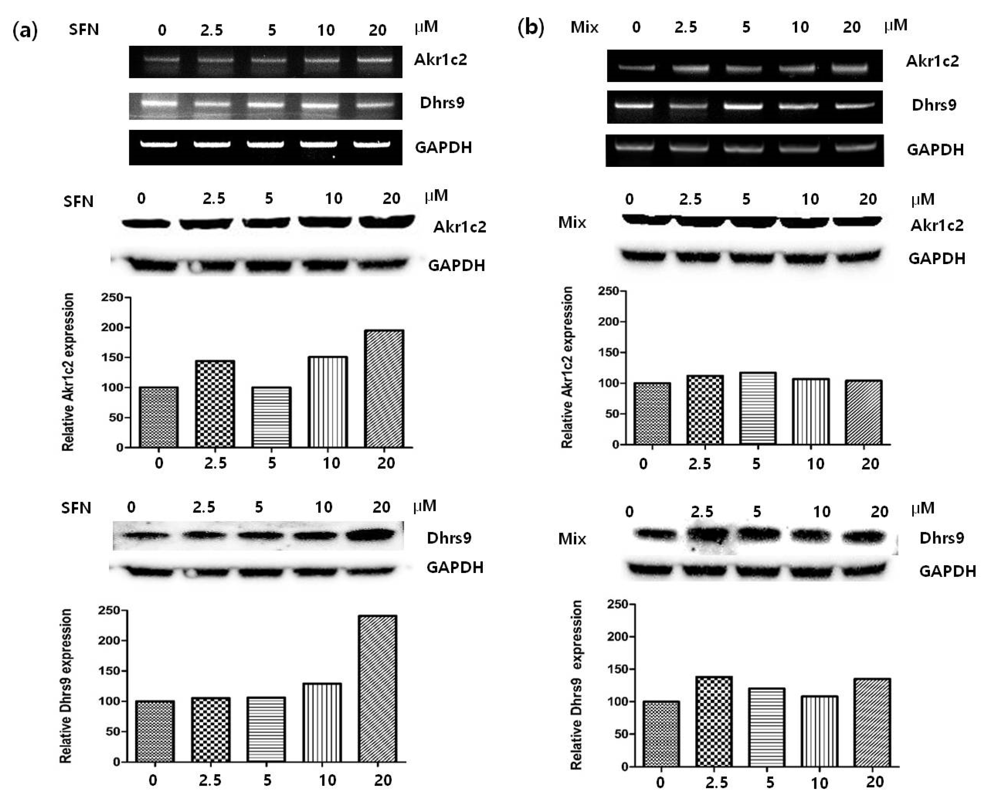 Cosmetics 08 00063 g004