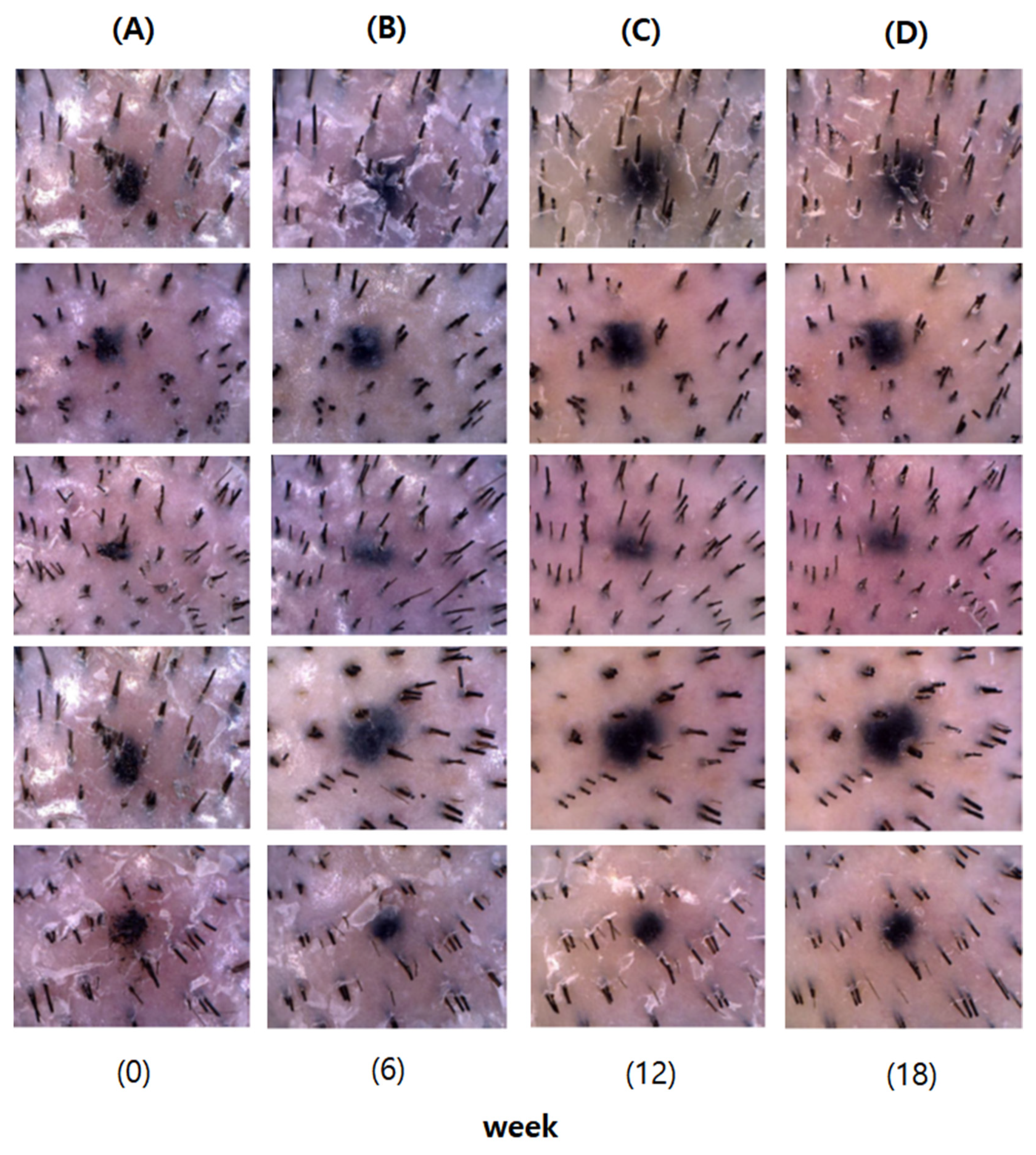 Cosmetics 08 00063 g005