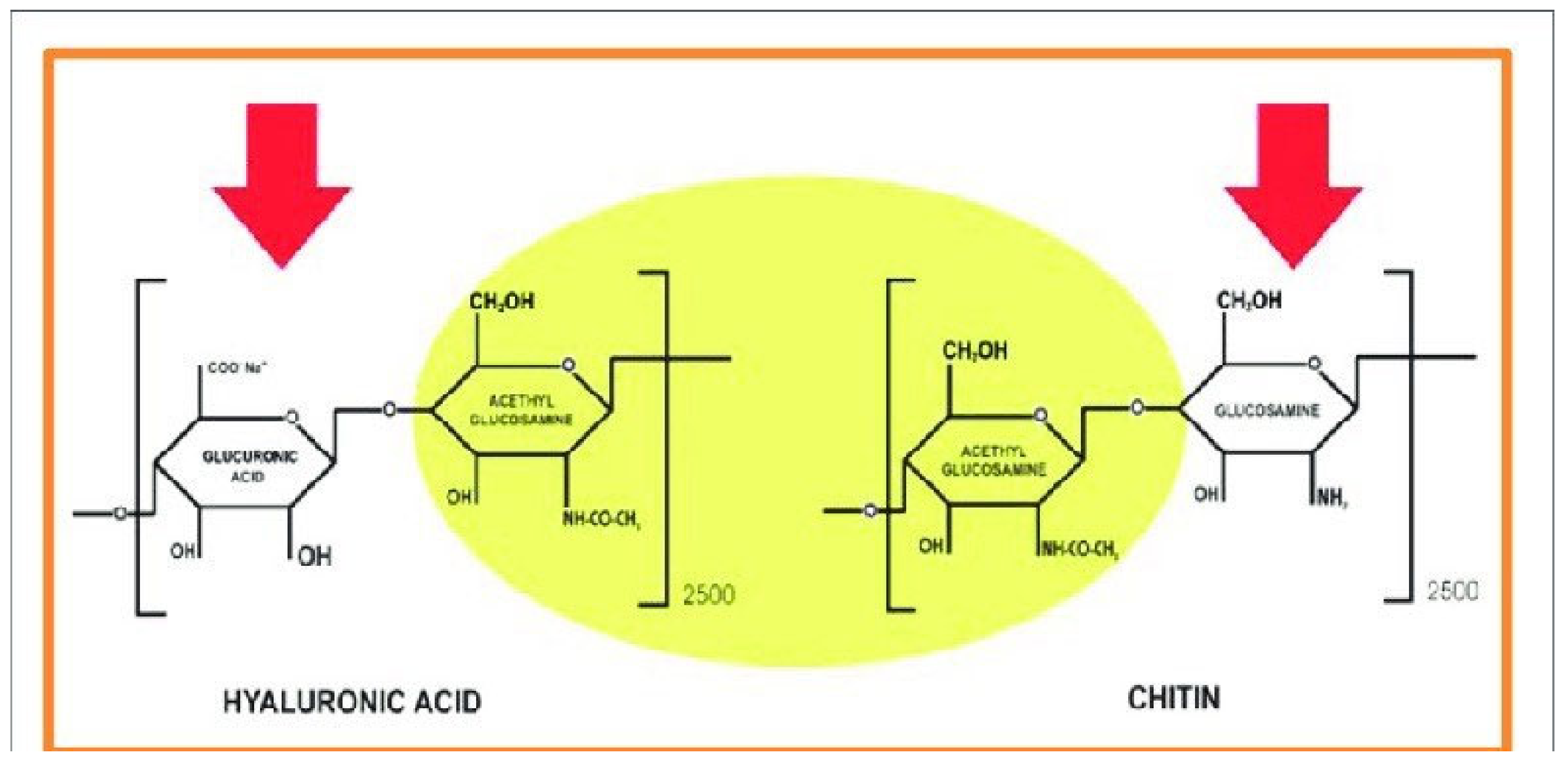 Cosmetics 08 00065 g001