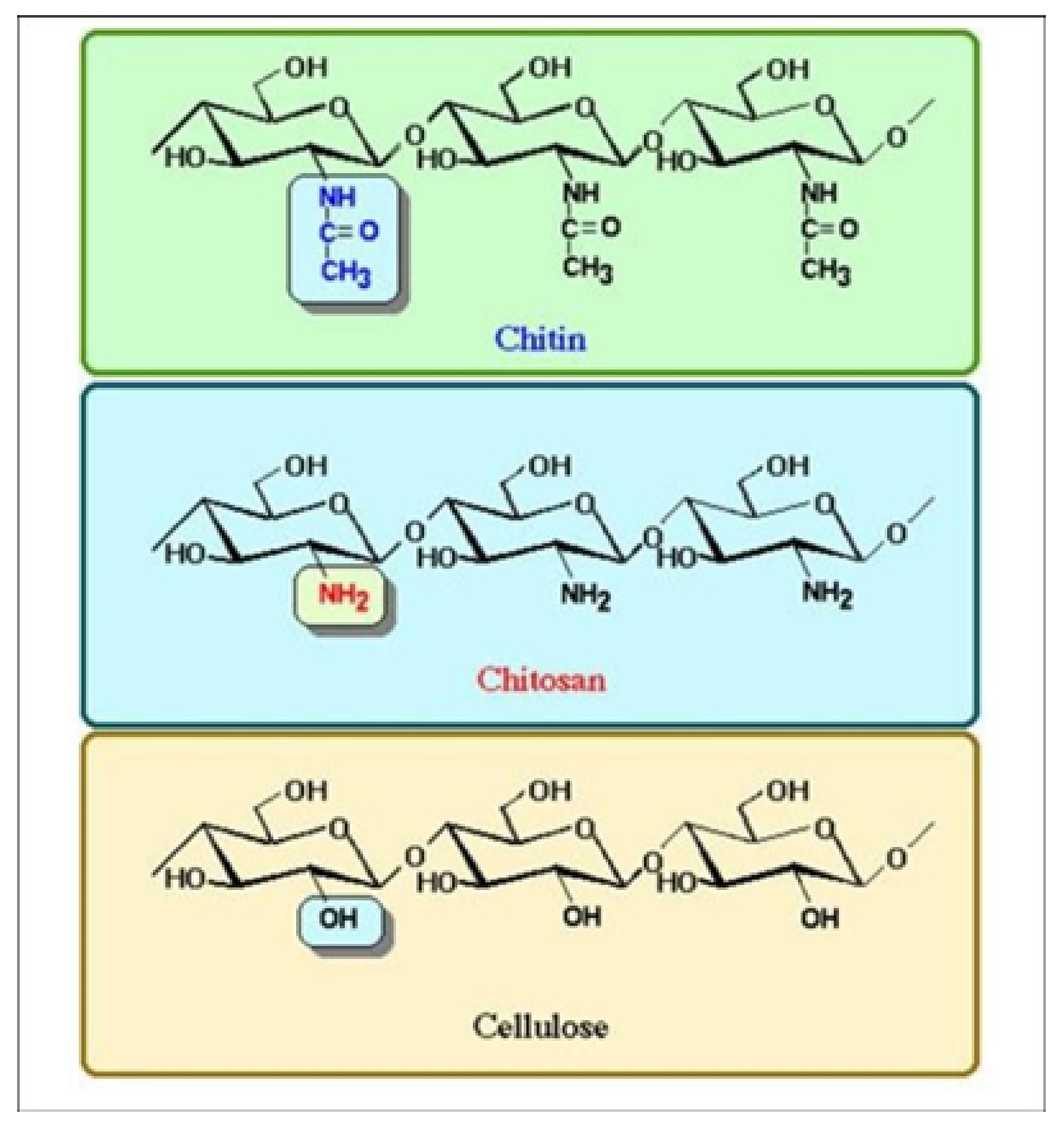 Cosmetics 08 00065 g003
