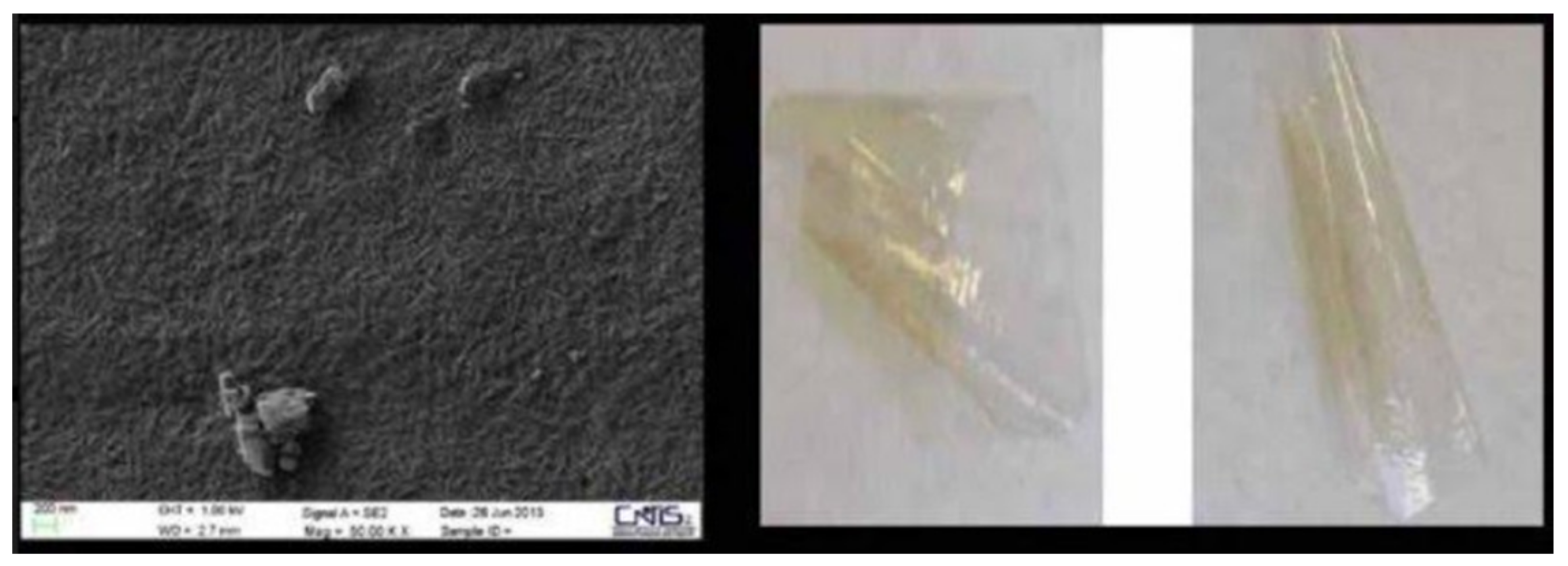 Cosmetics 08 00065 g008