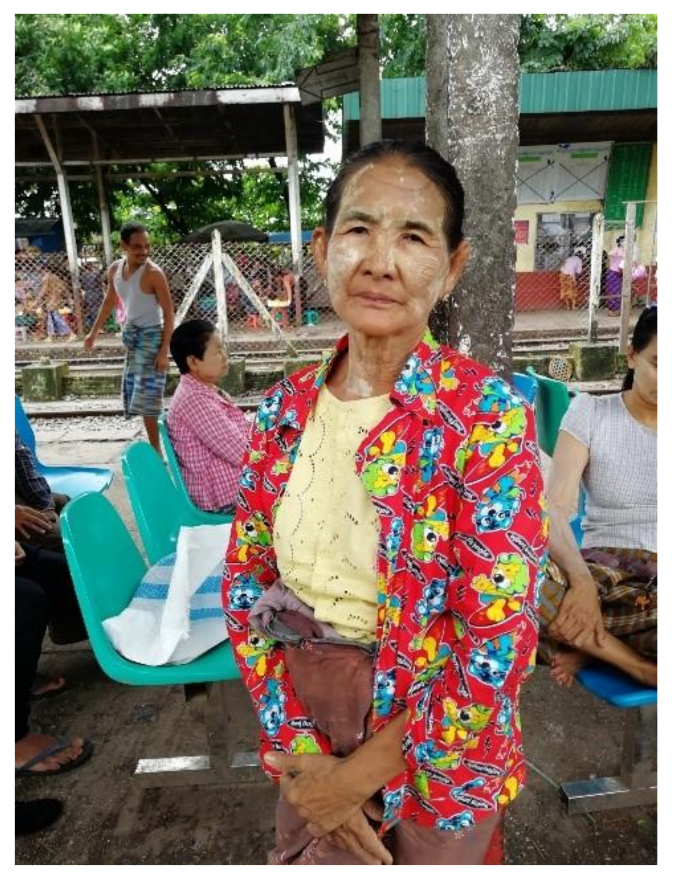 Cosmetics 08 00068 g001