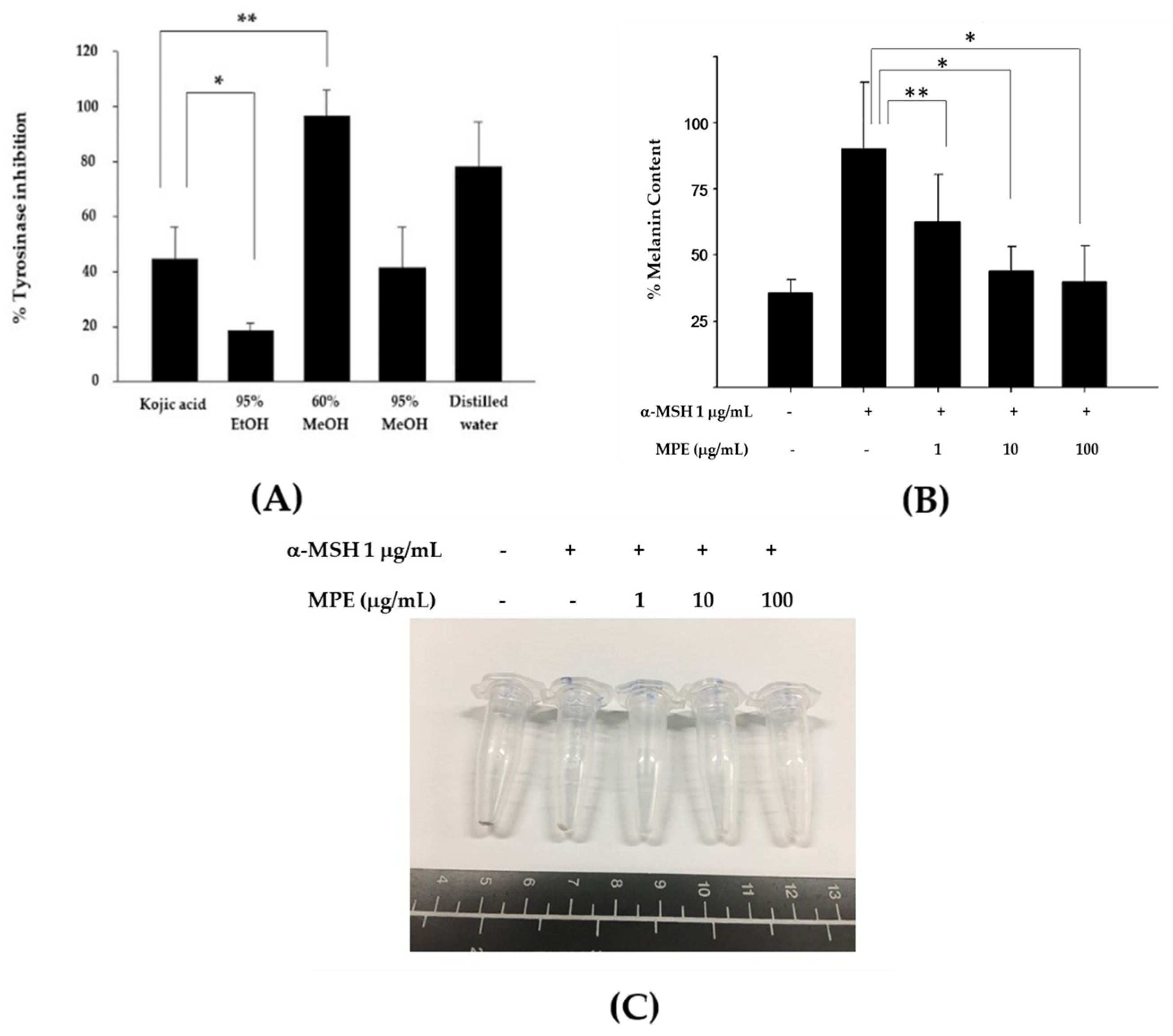 Cosmetics 08 00070 g001