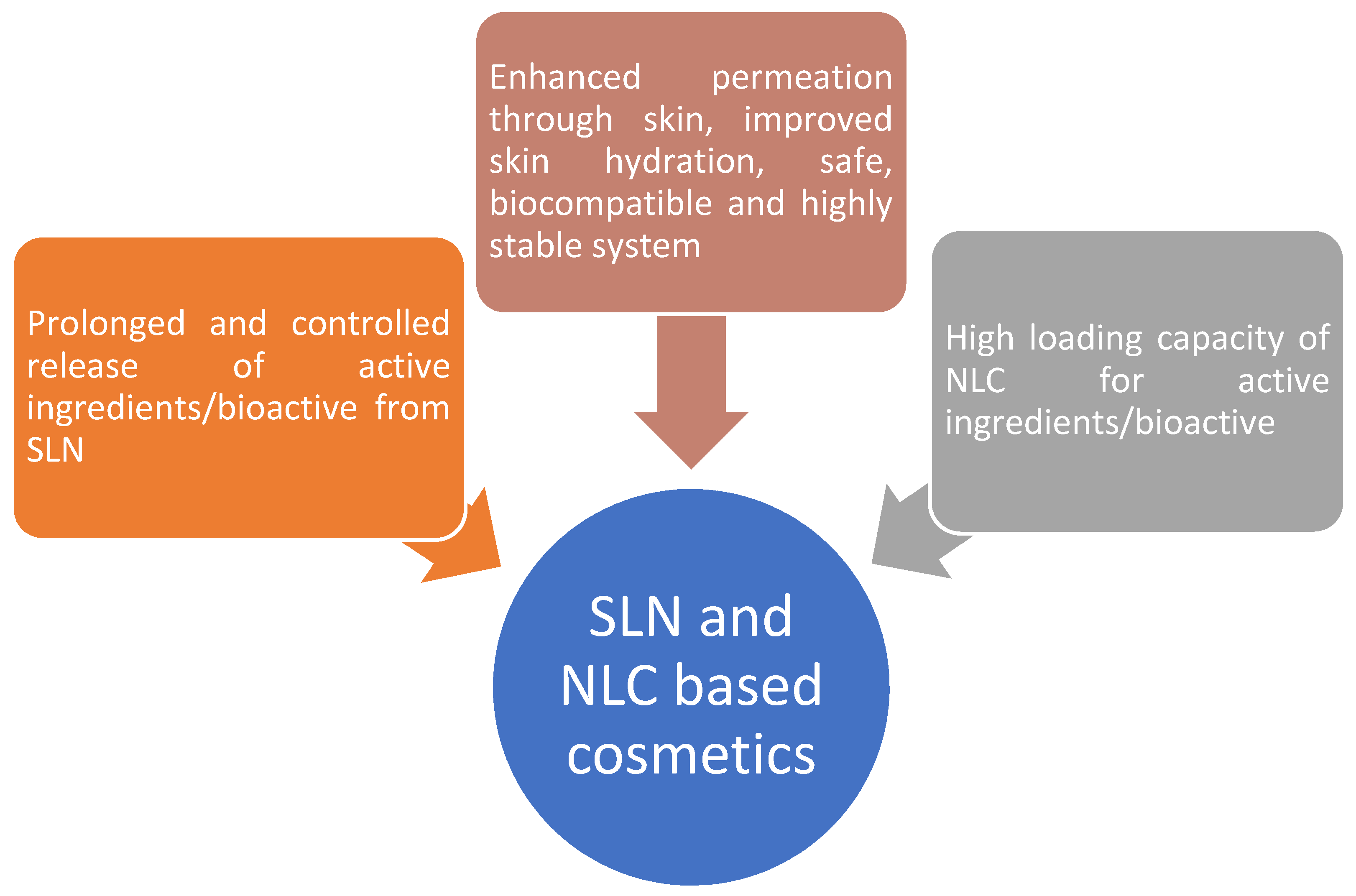 Cosmetics 08 00084 g001