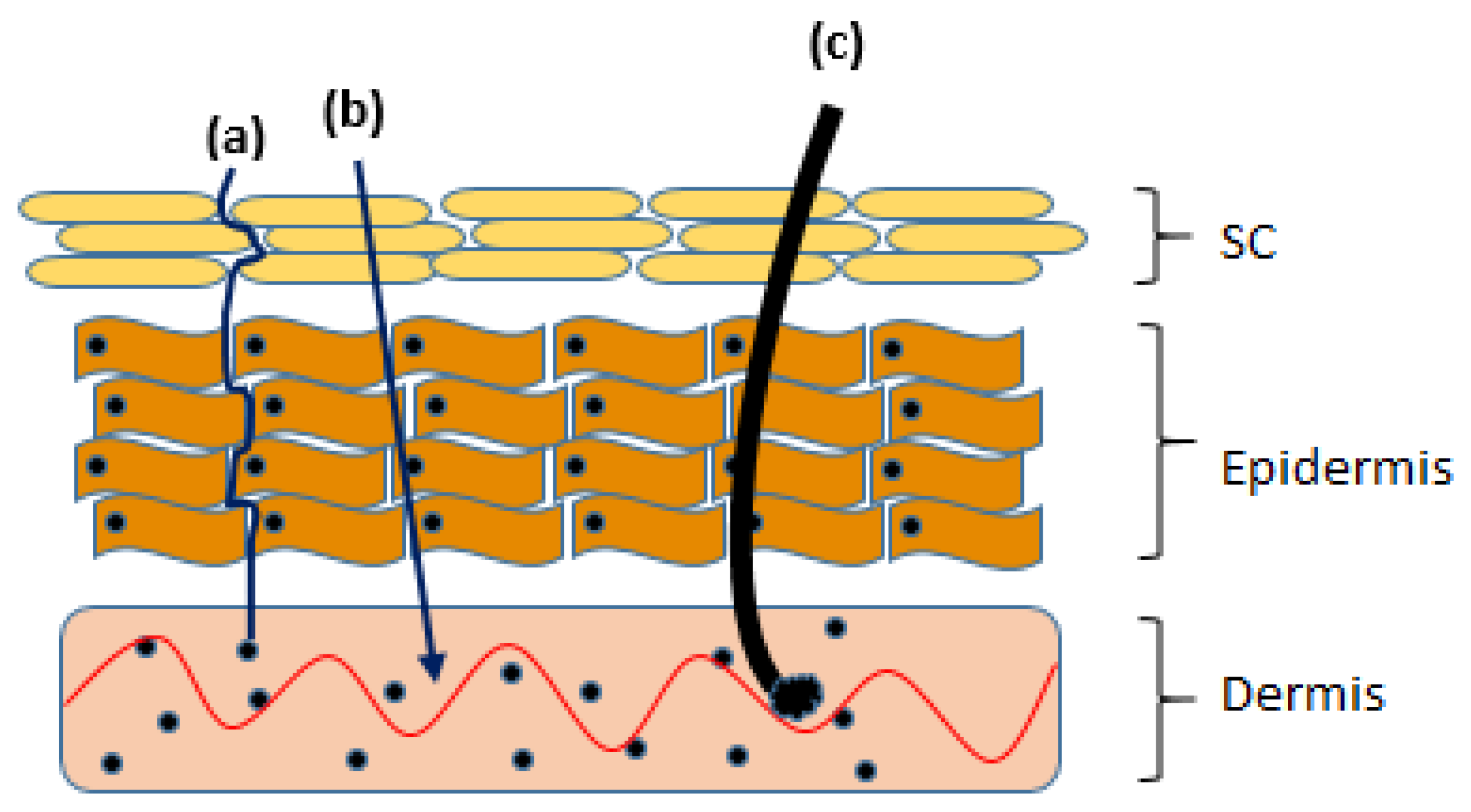 Cosmetics 08 00084 g002