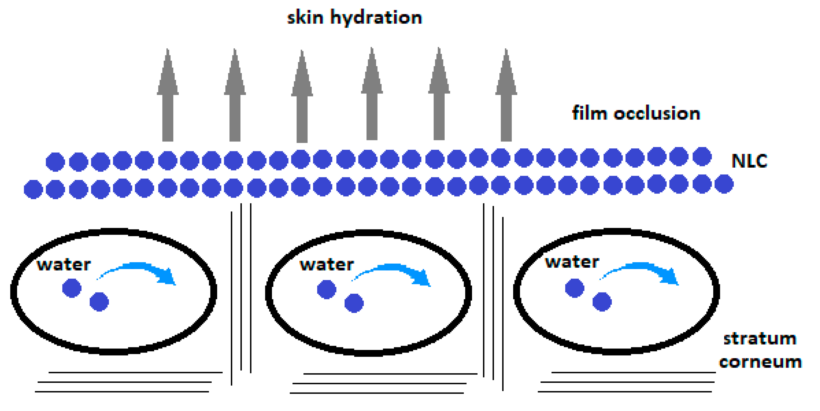 Cosmetics 08 00089 g002