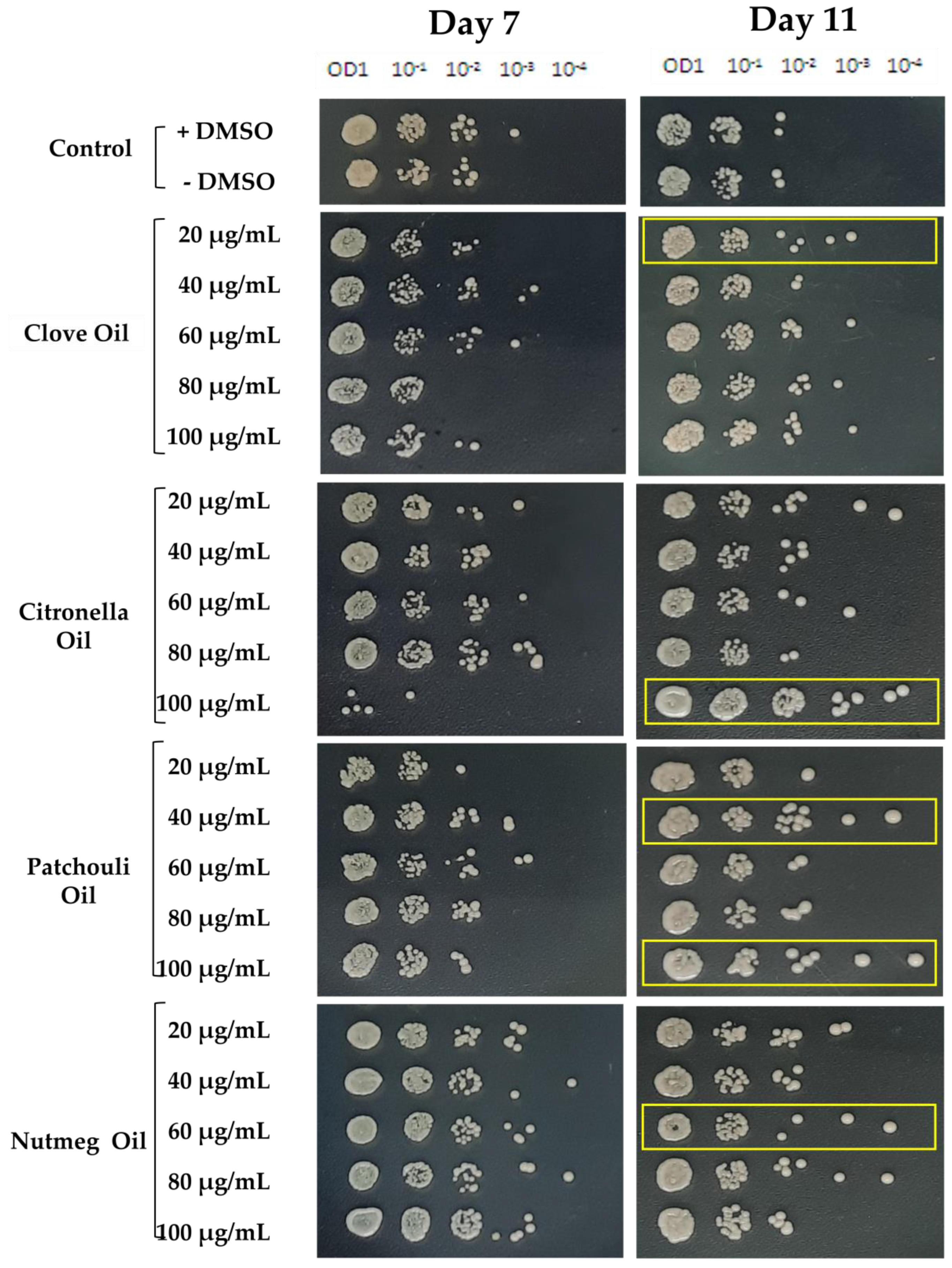 Cosmetics 08 00094 g002