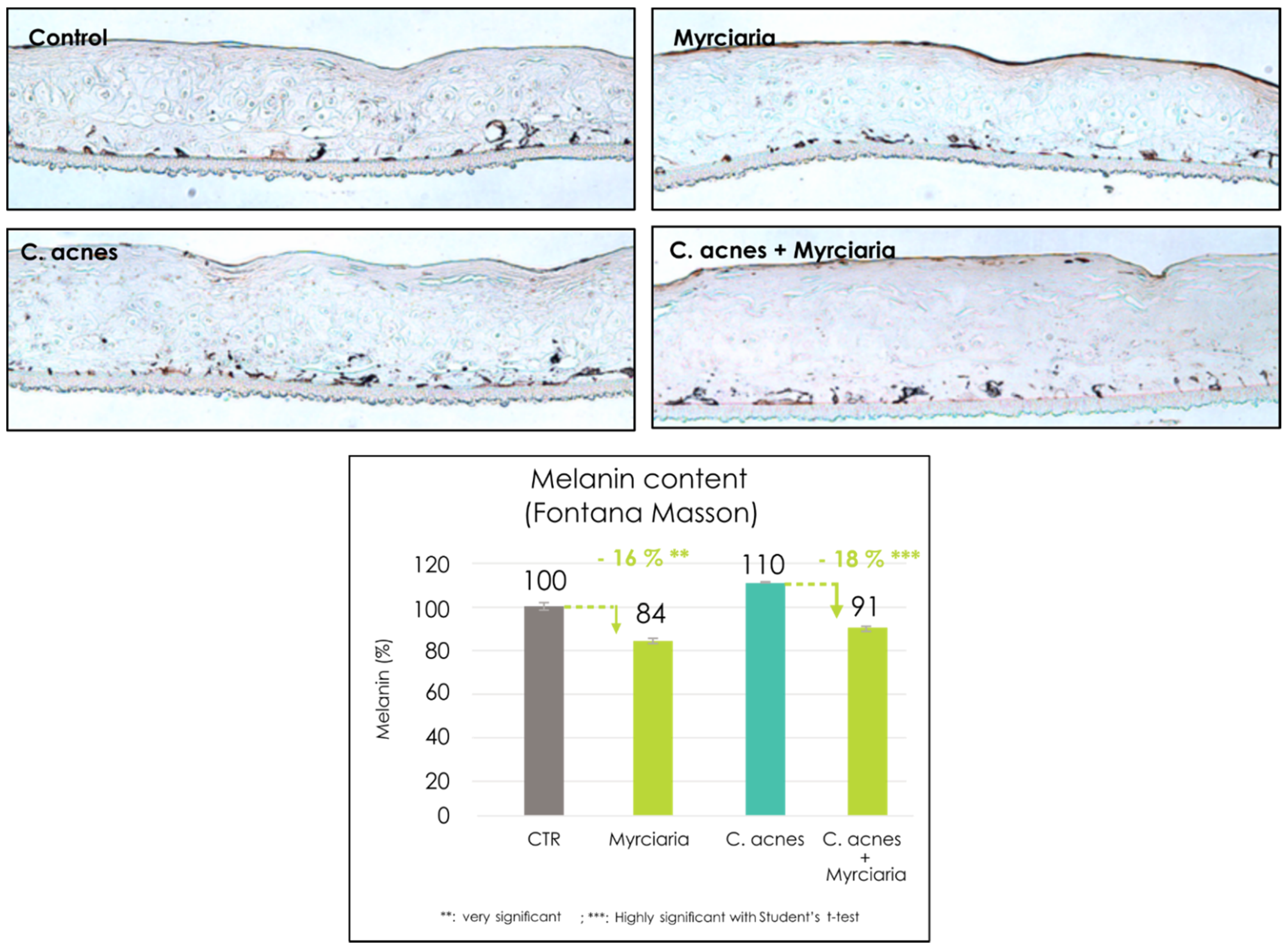 Cosmetics 08 00098 g002