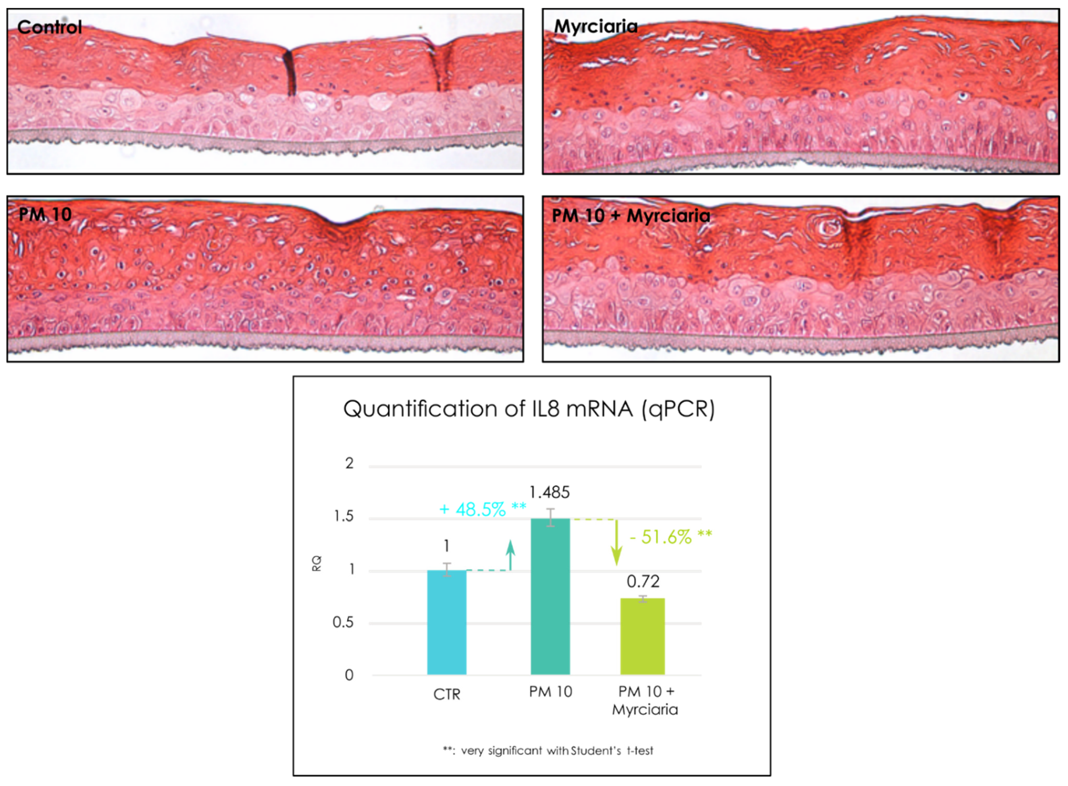 Cosmetics 08 00098 g003