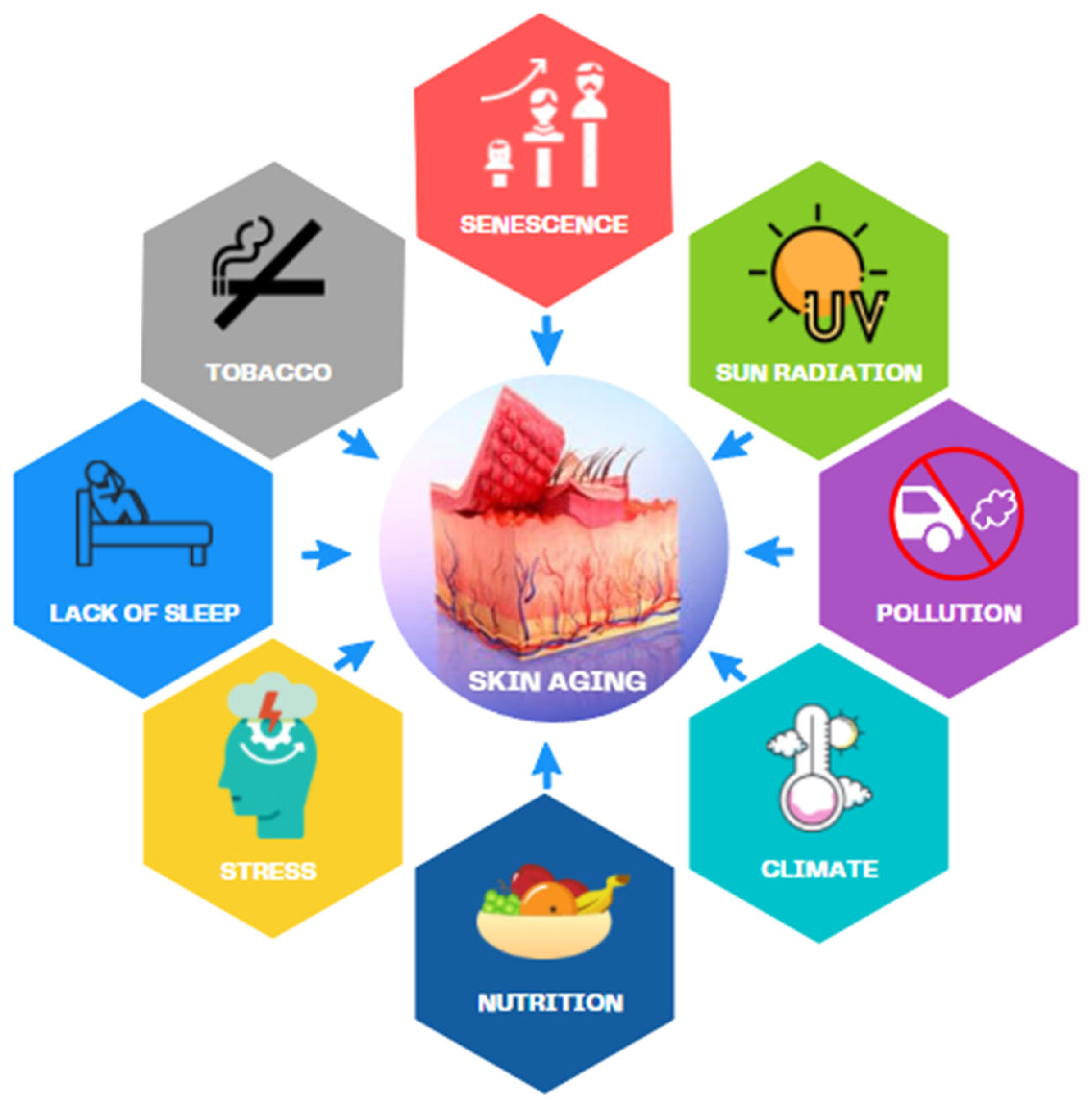 Cosmetics 08 00106 g001