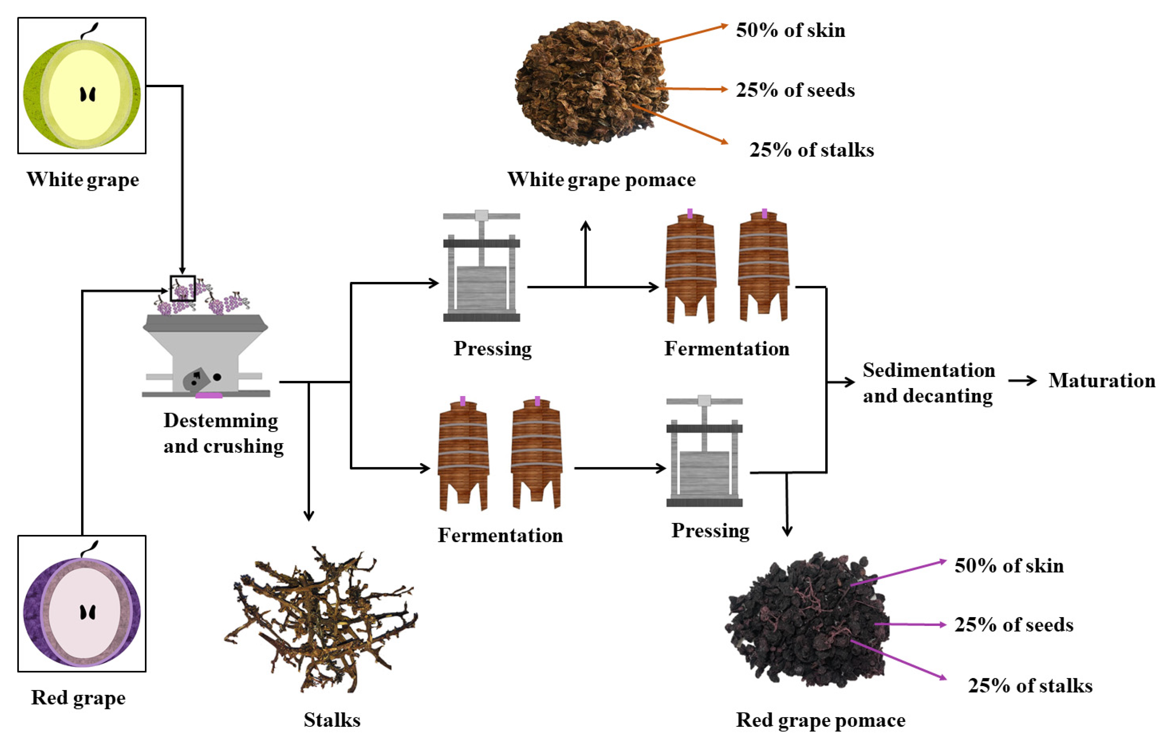 Cosmetics 08 00109 g001